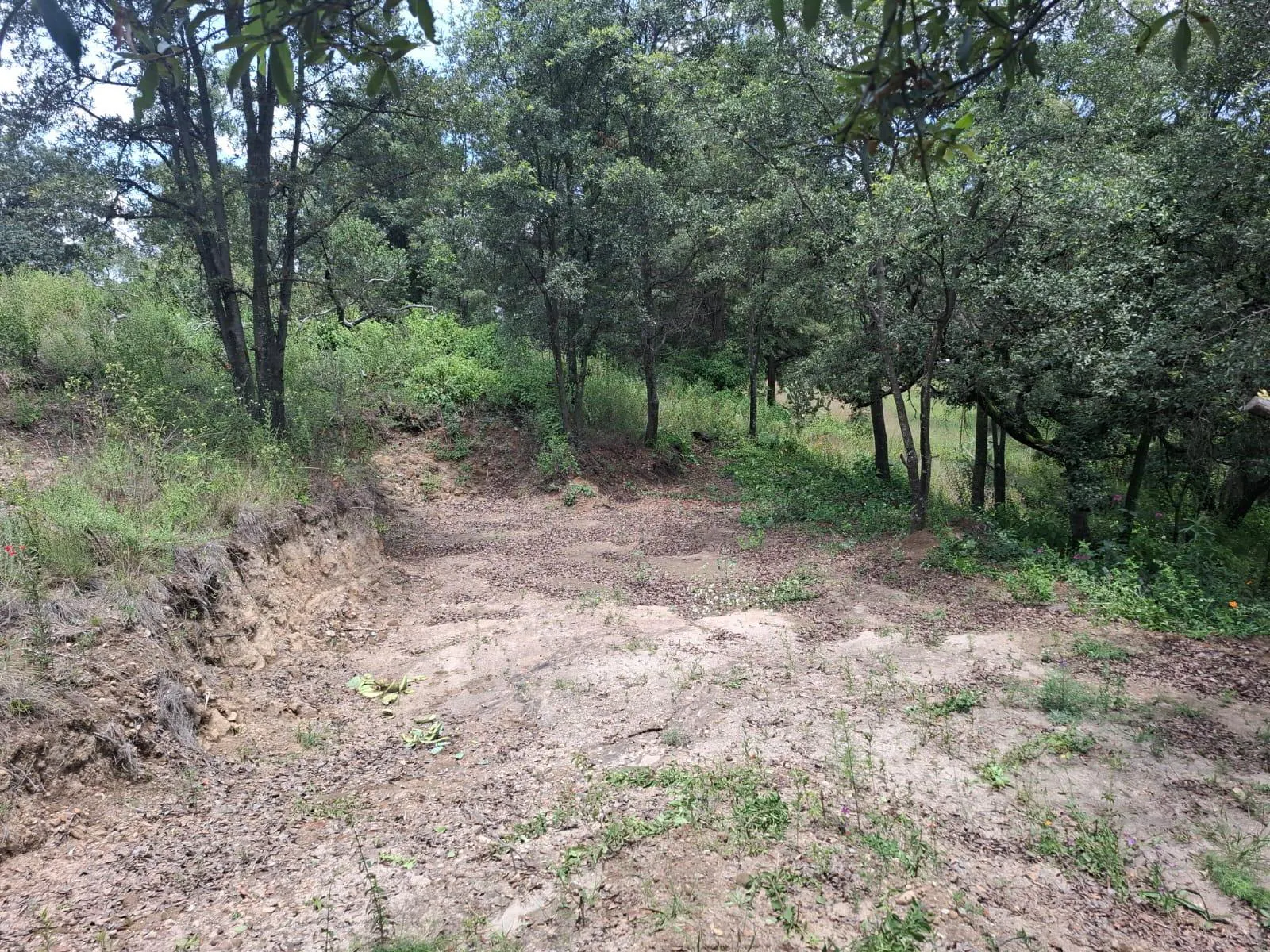 Terreno Spot2