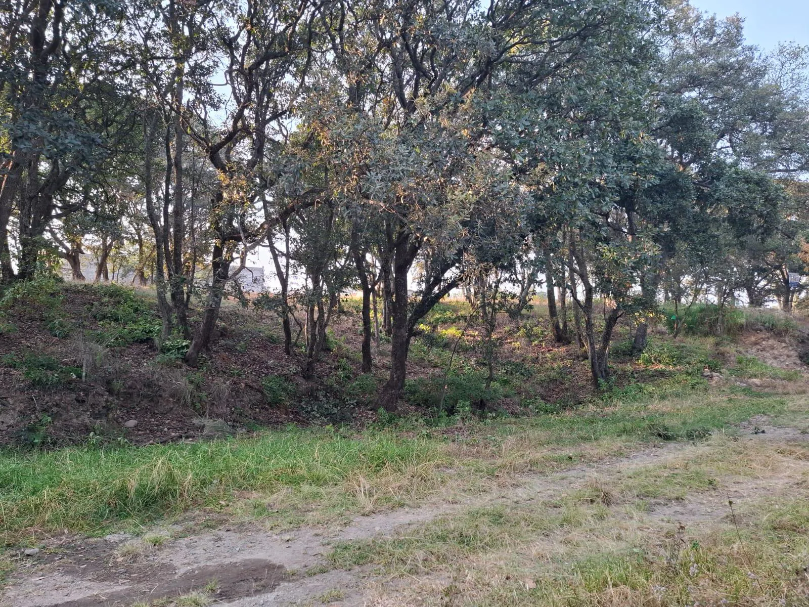 Terreno Spot2