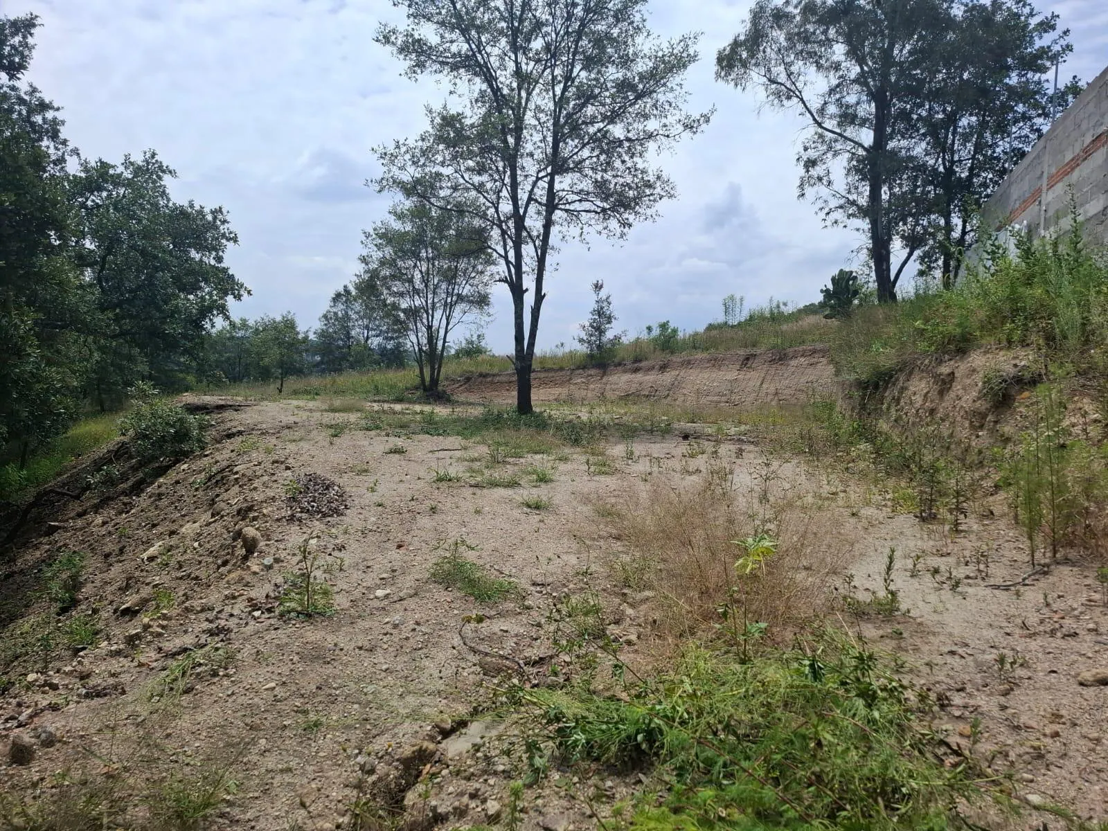 Terreno Spot2