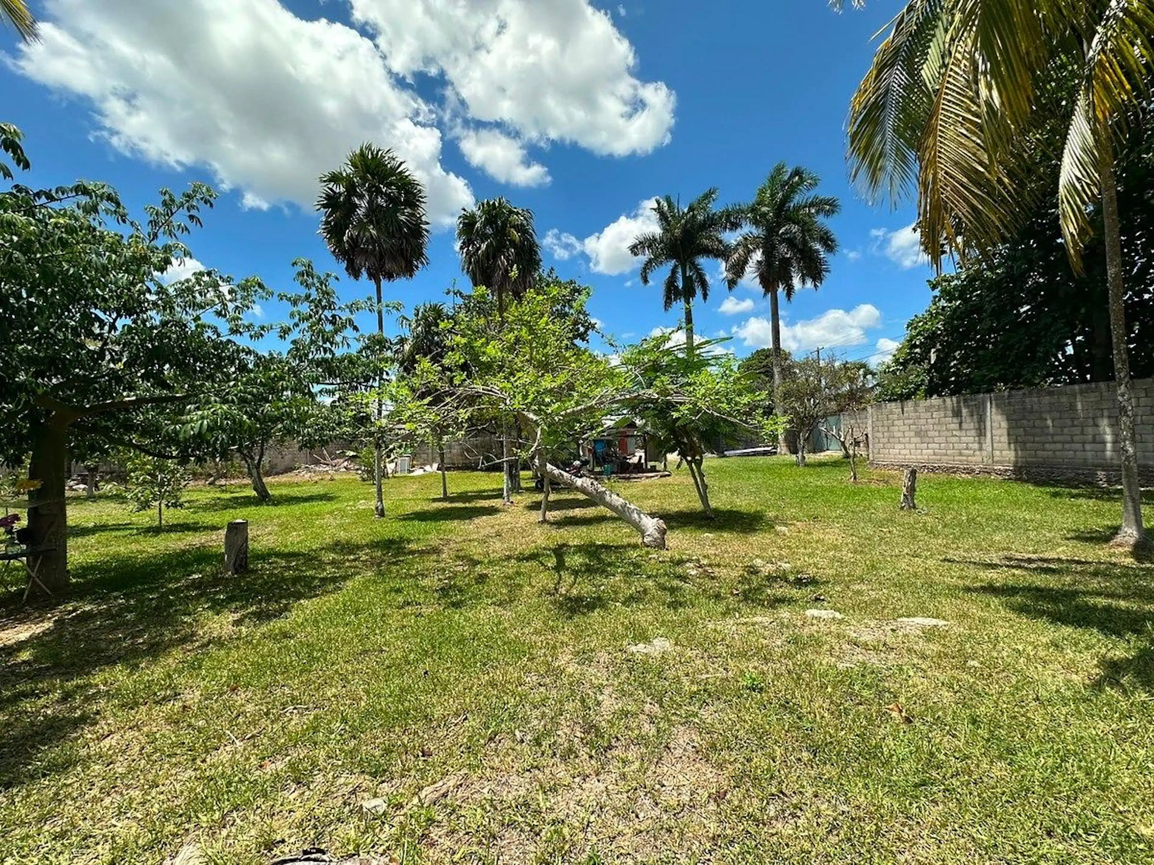 En Venta Terreno En Tizimín, Yucatán
