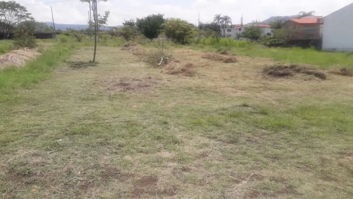 Terreno Spot2