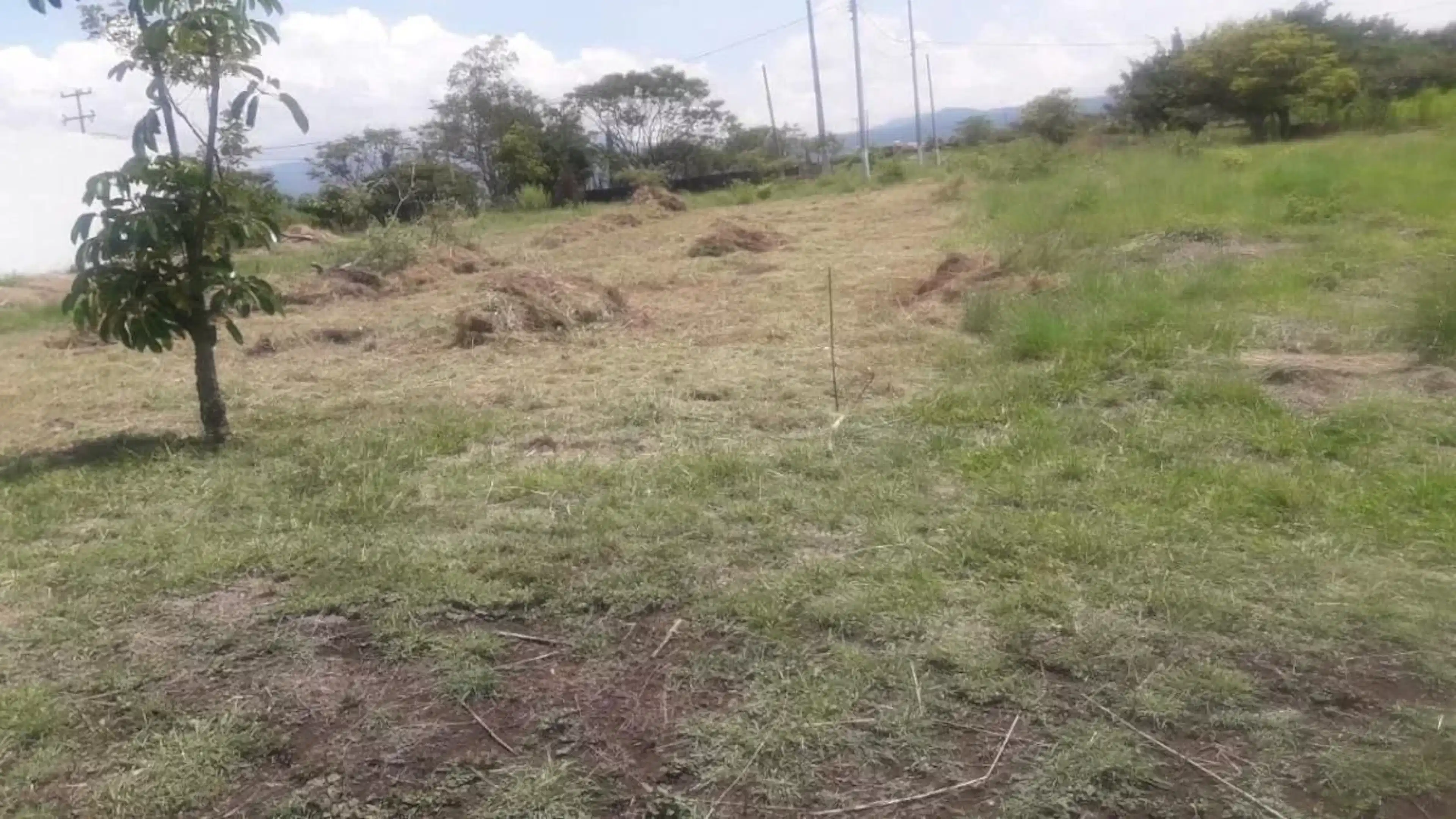 Terreno en Privado Tlayacapan, Morelos