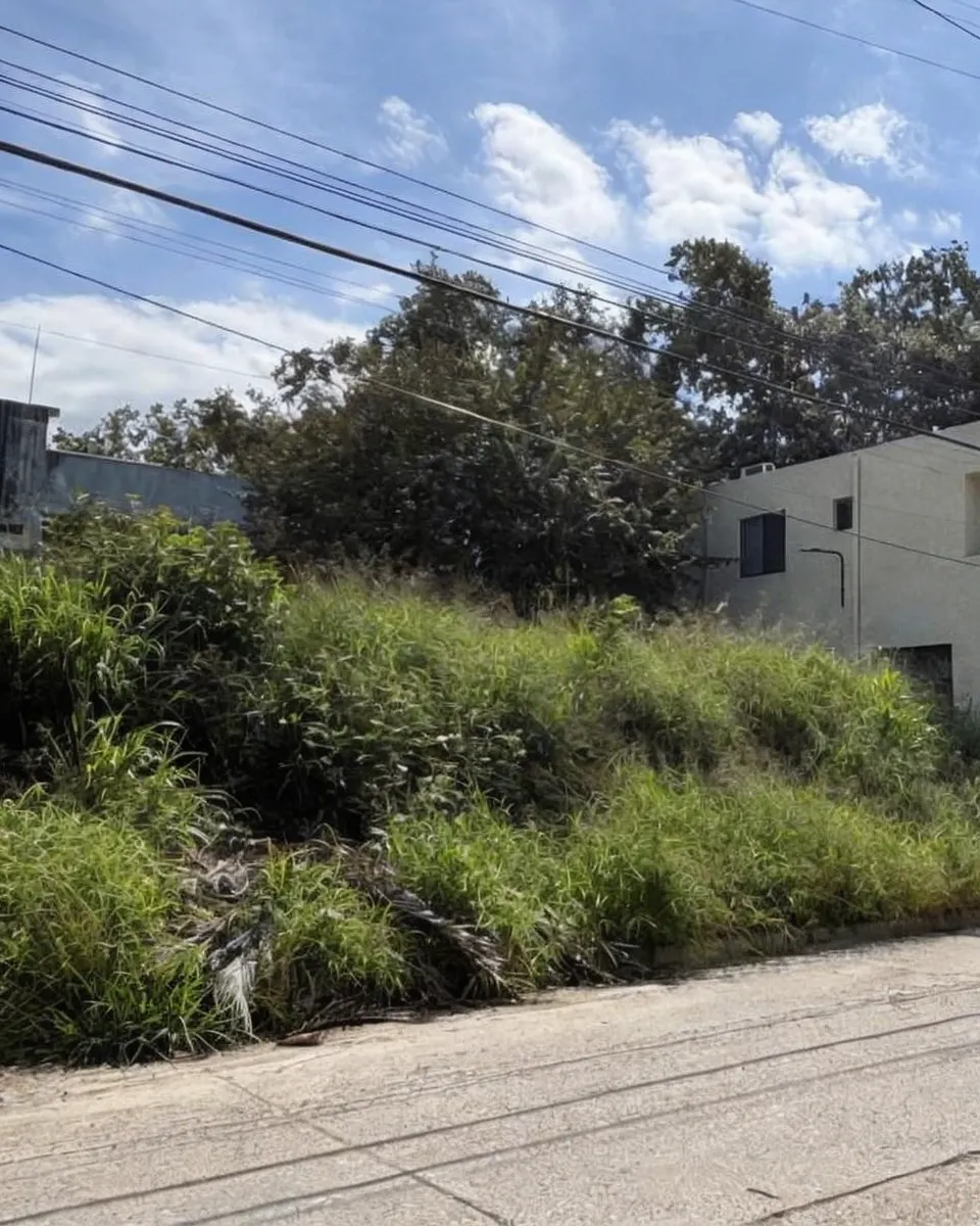 Terreno Spot2