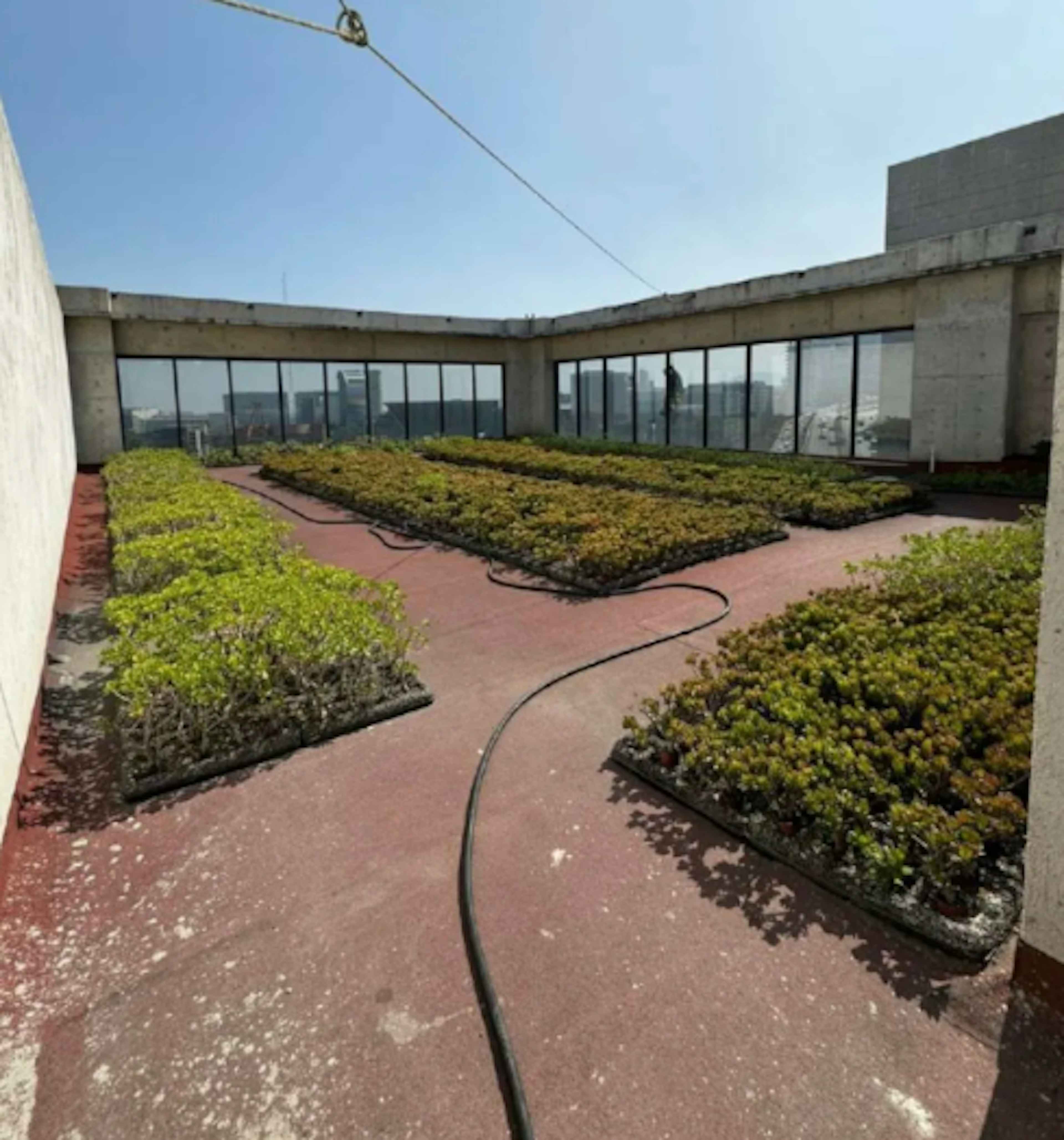 Prolongación Paseo De La Reforma