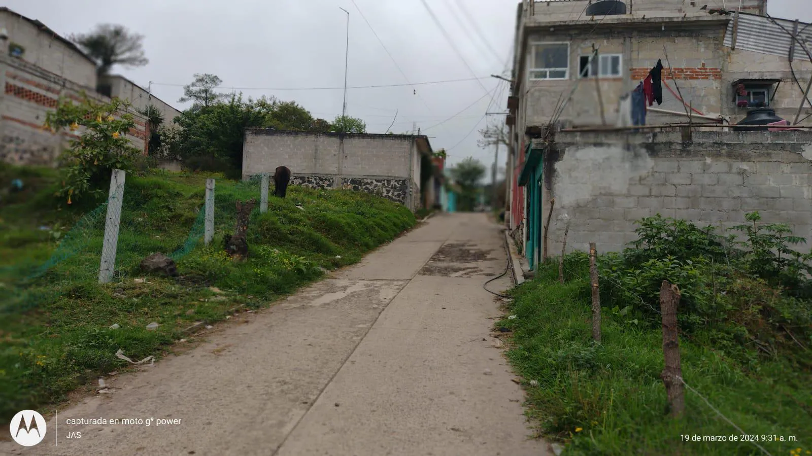 Terreno Spot2