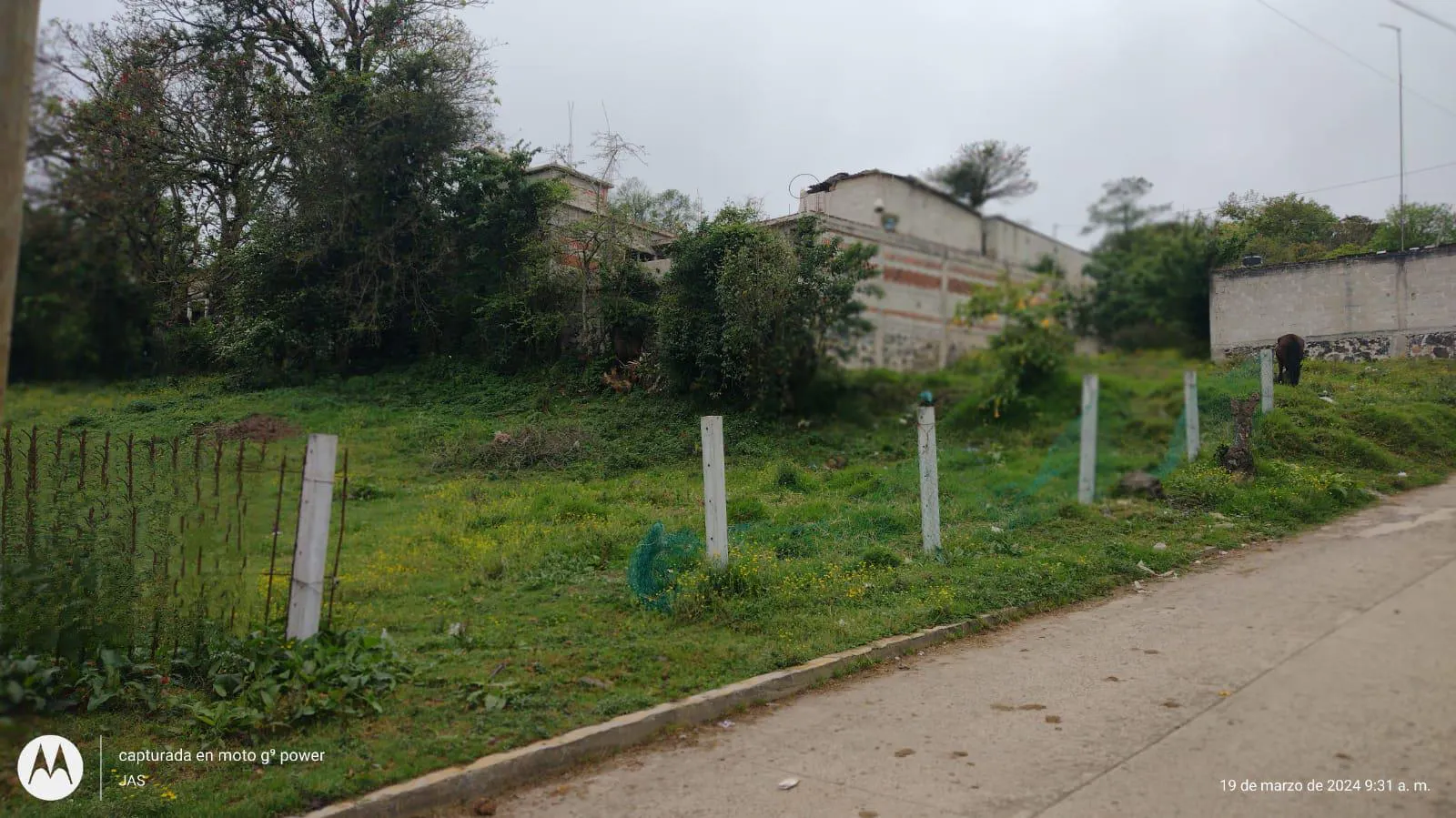 Terreno Spot2