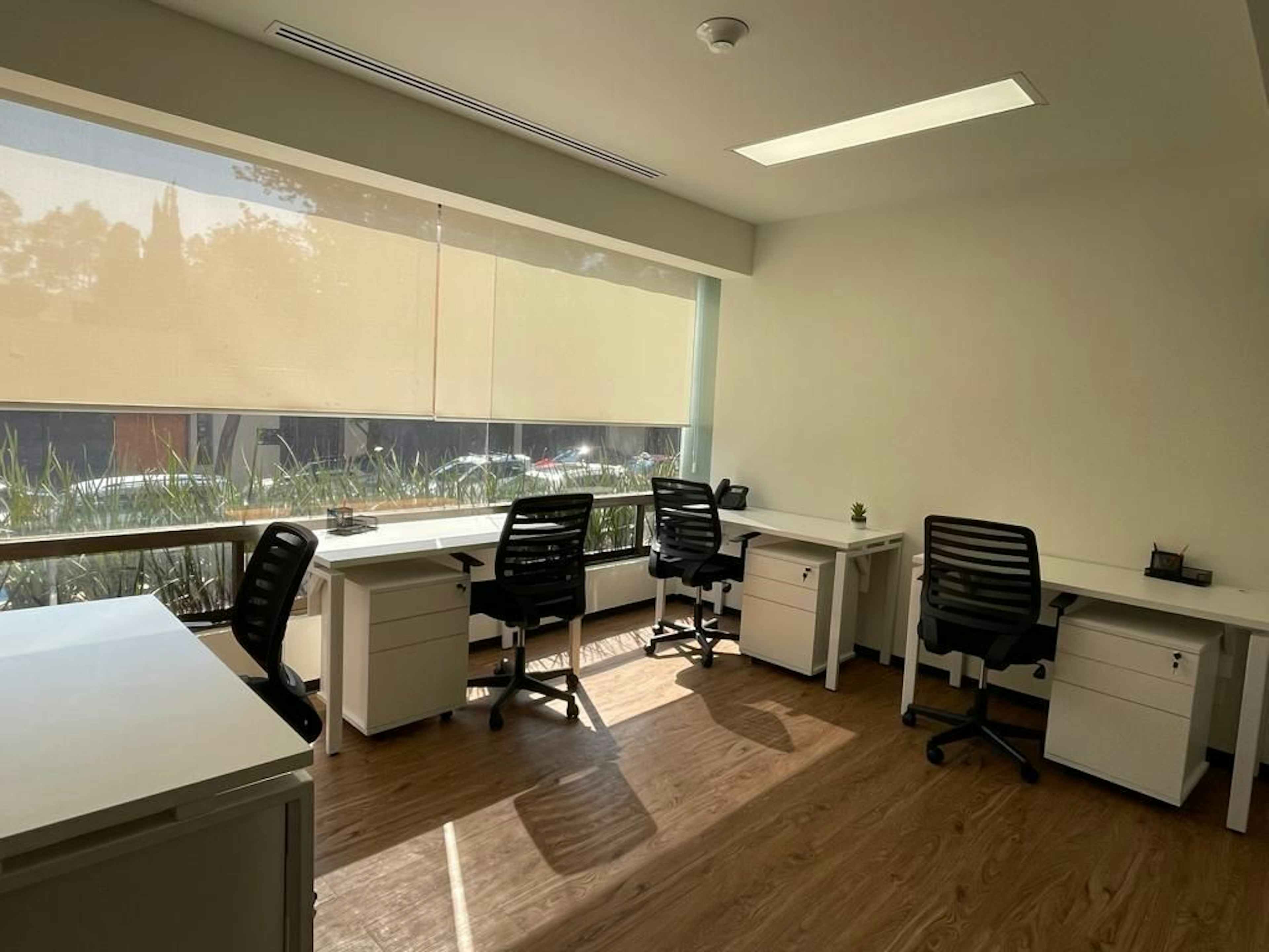 Bosque De Los Ciruelos