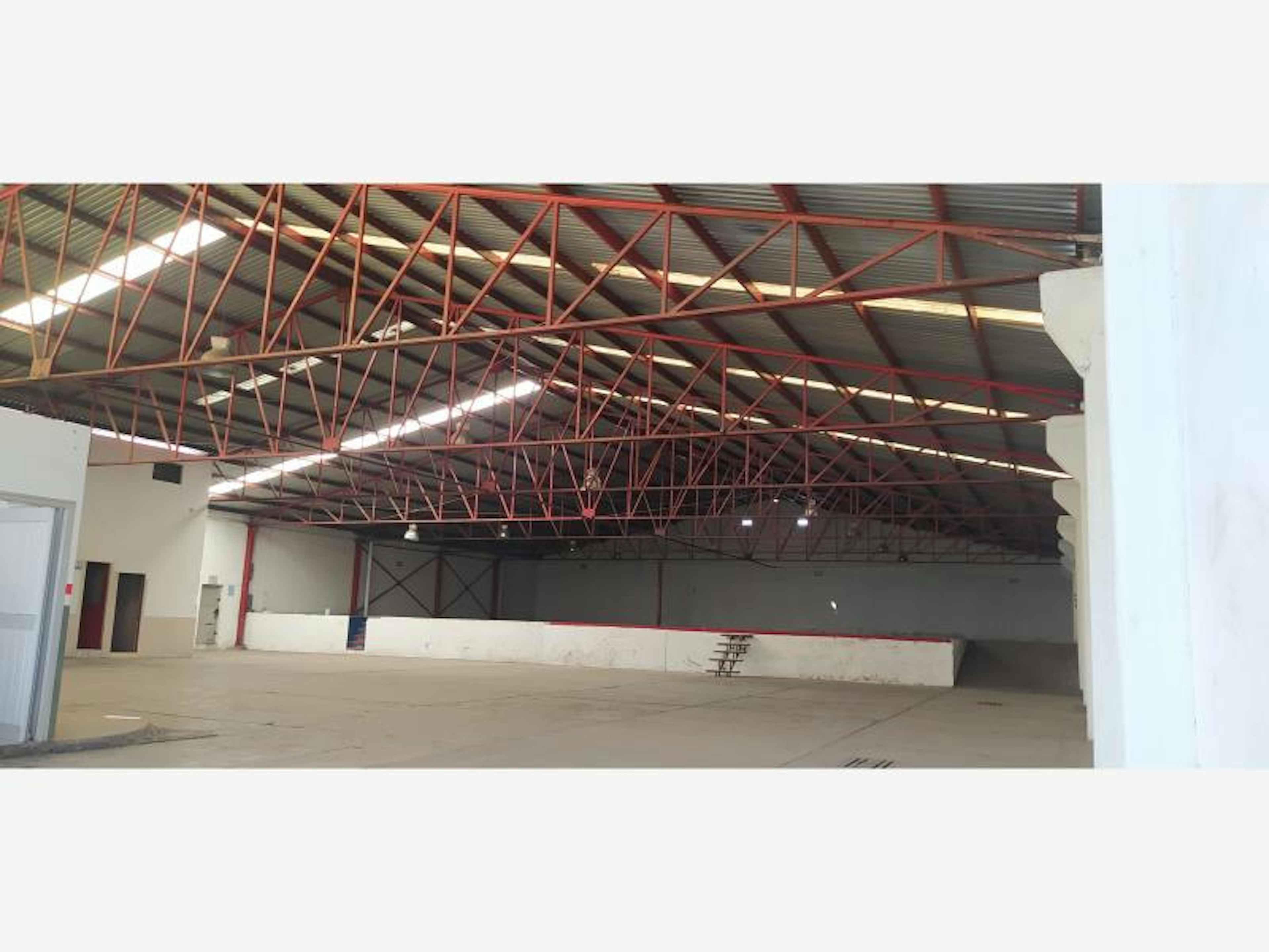 Distribuidor Juárez 100