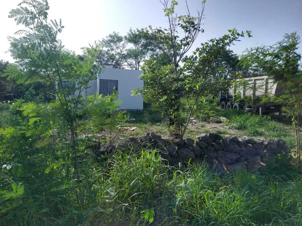 Terreno Spot2
