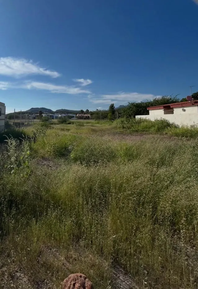 Terreno Spot2