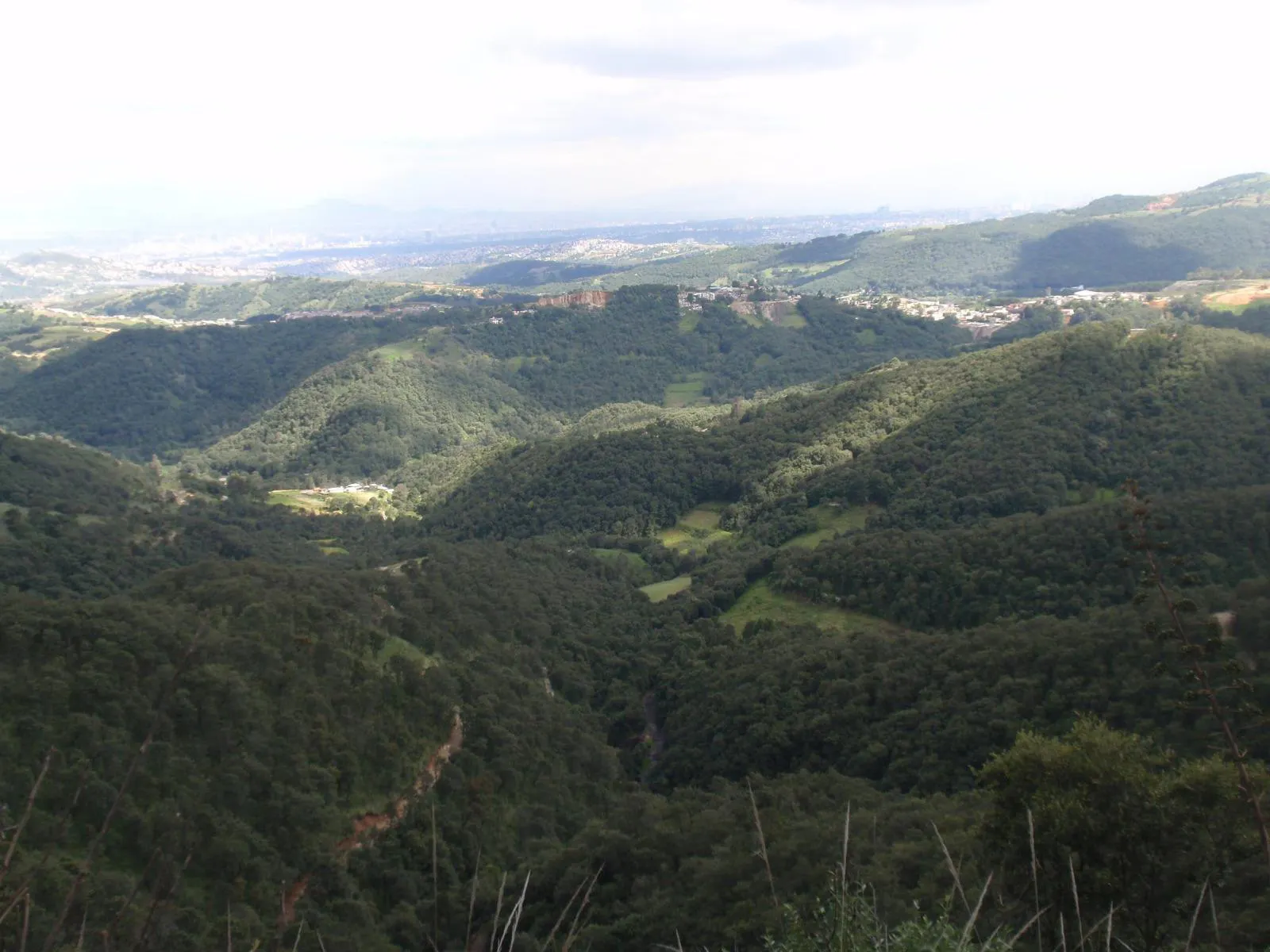 Terreno Spot2
