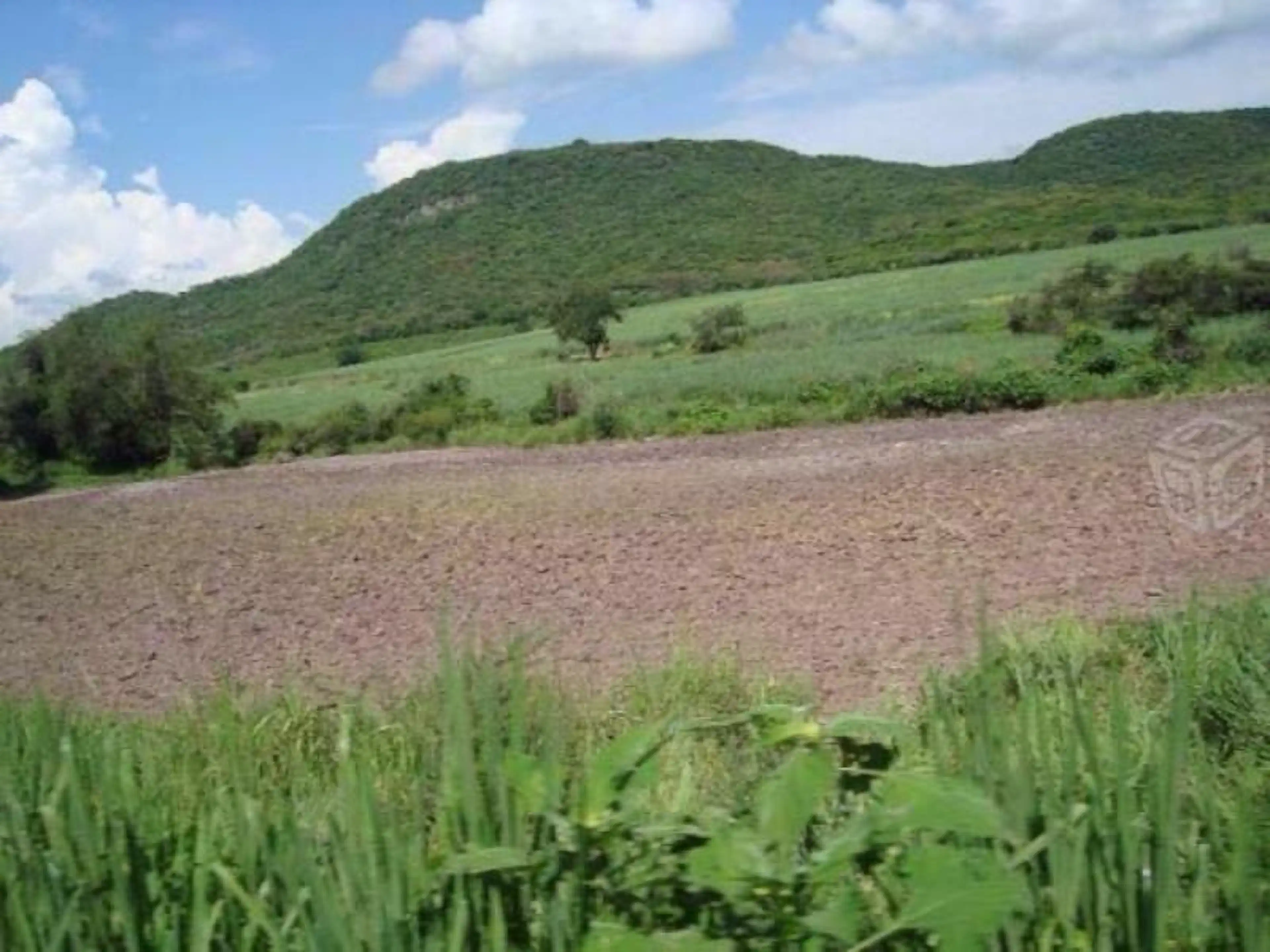 Terreno En Venta En Santa Rosa Treinta, Tlaltizapán De Zapata, Morelos