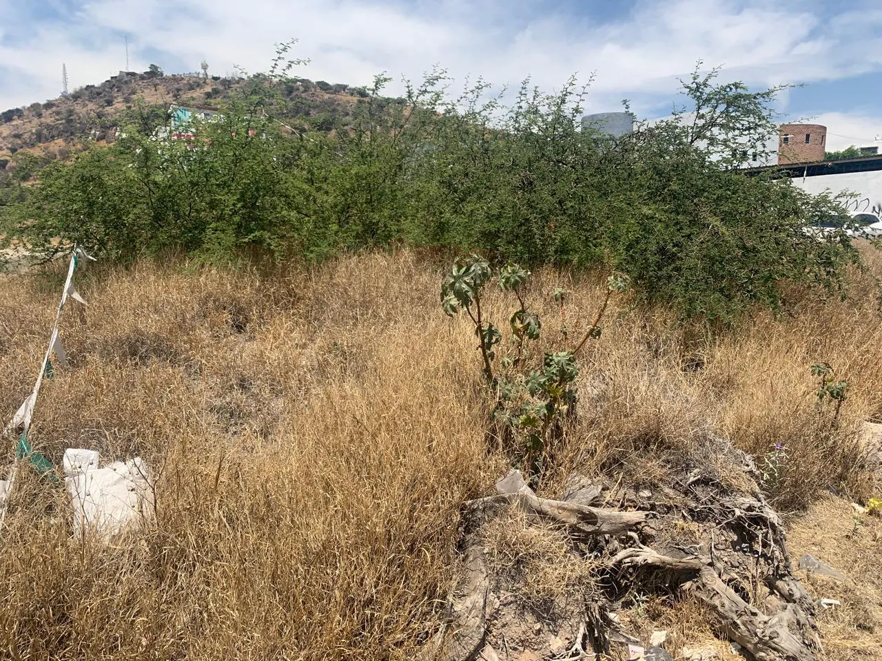 Terreno Spot2