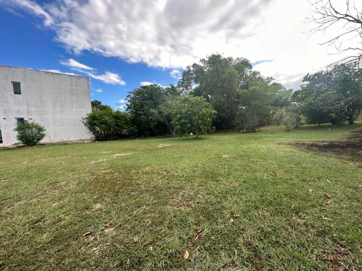 Terreno Spot2