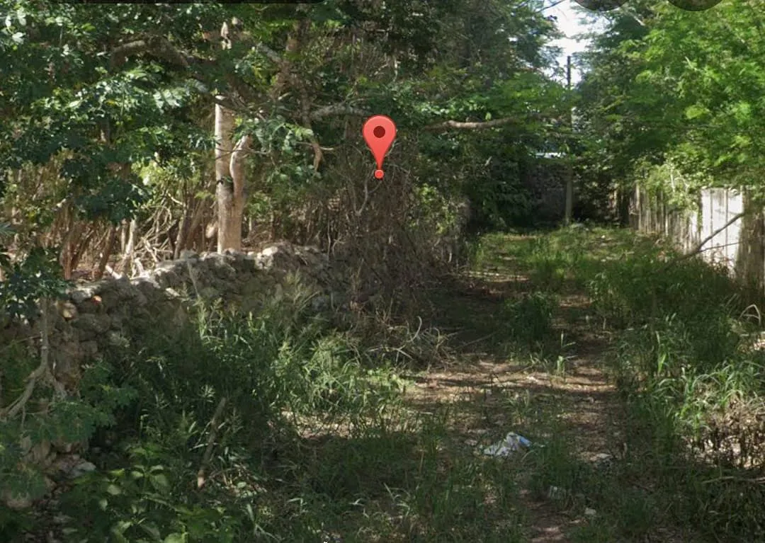 Terreno Spot2