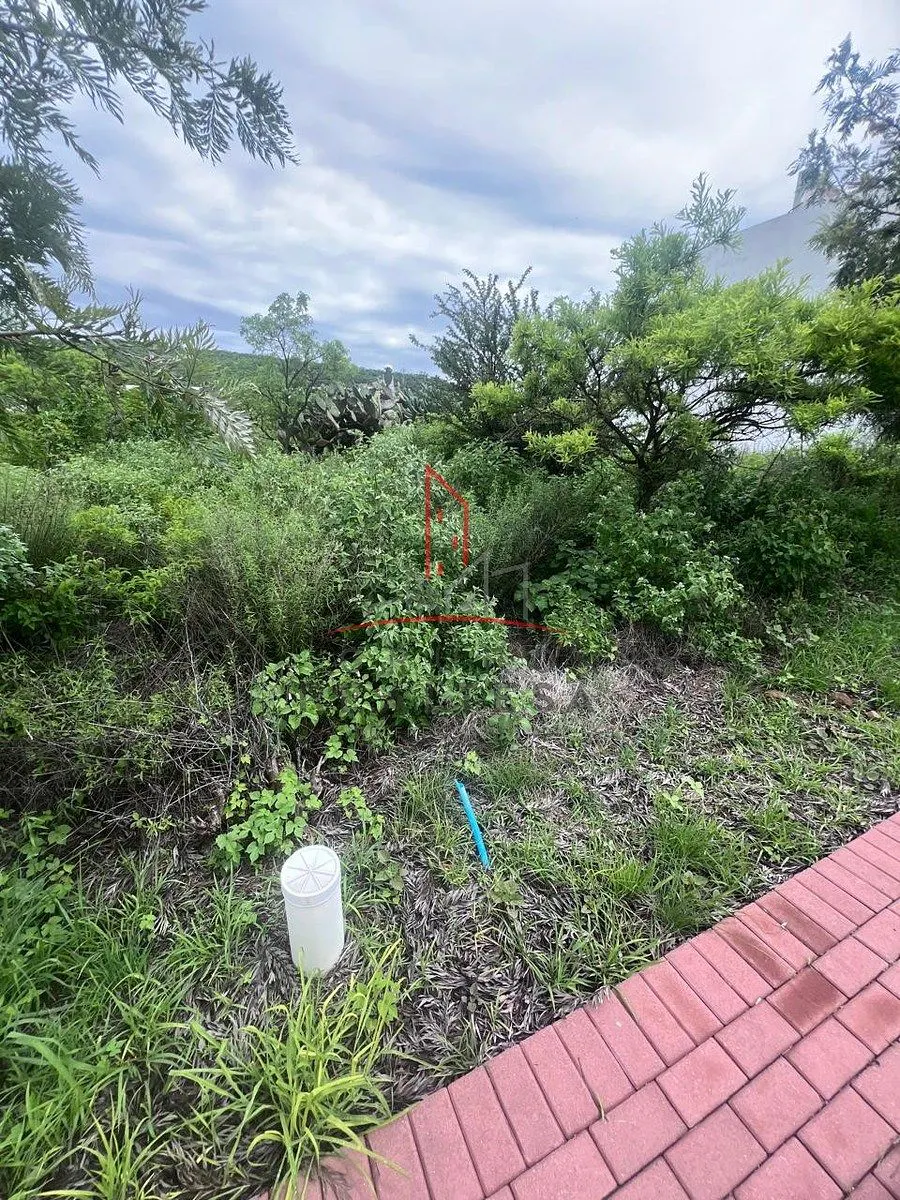 Terreno Spot2