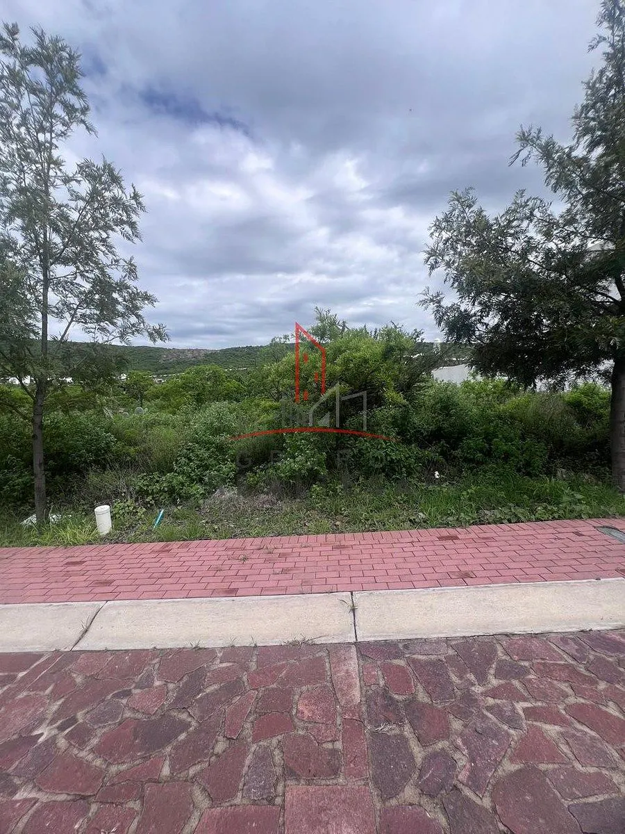 Terreno Spot2