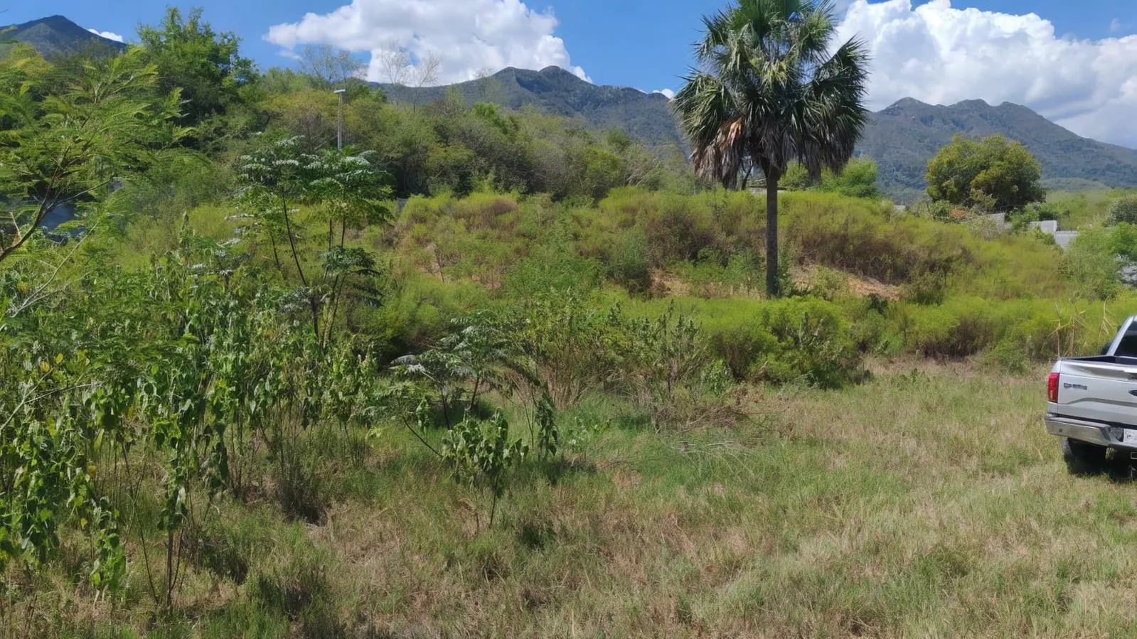 Terreno Spot2