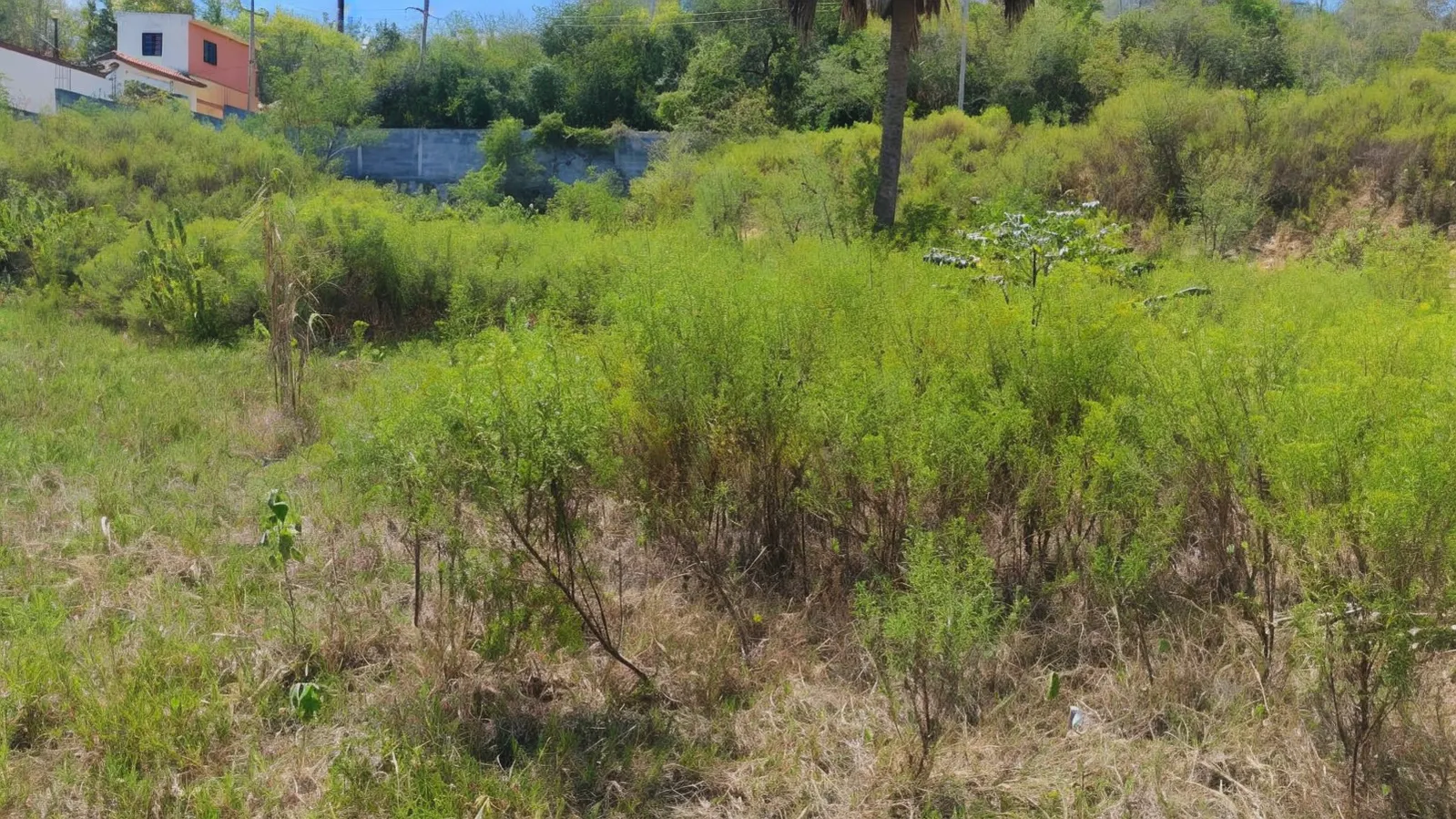 Terreno Spot2