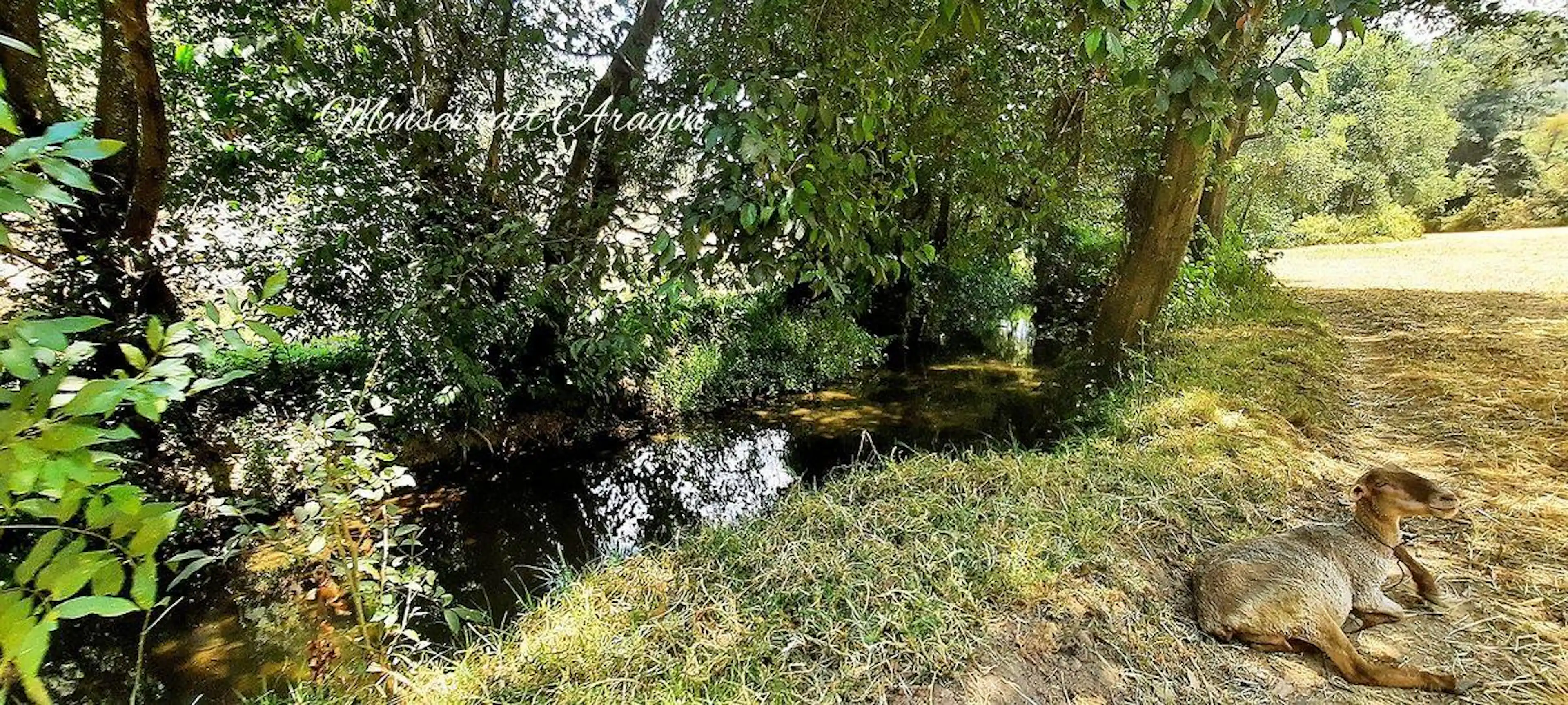 Terreno con agua a 30 minutos de Valle de Bravo