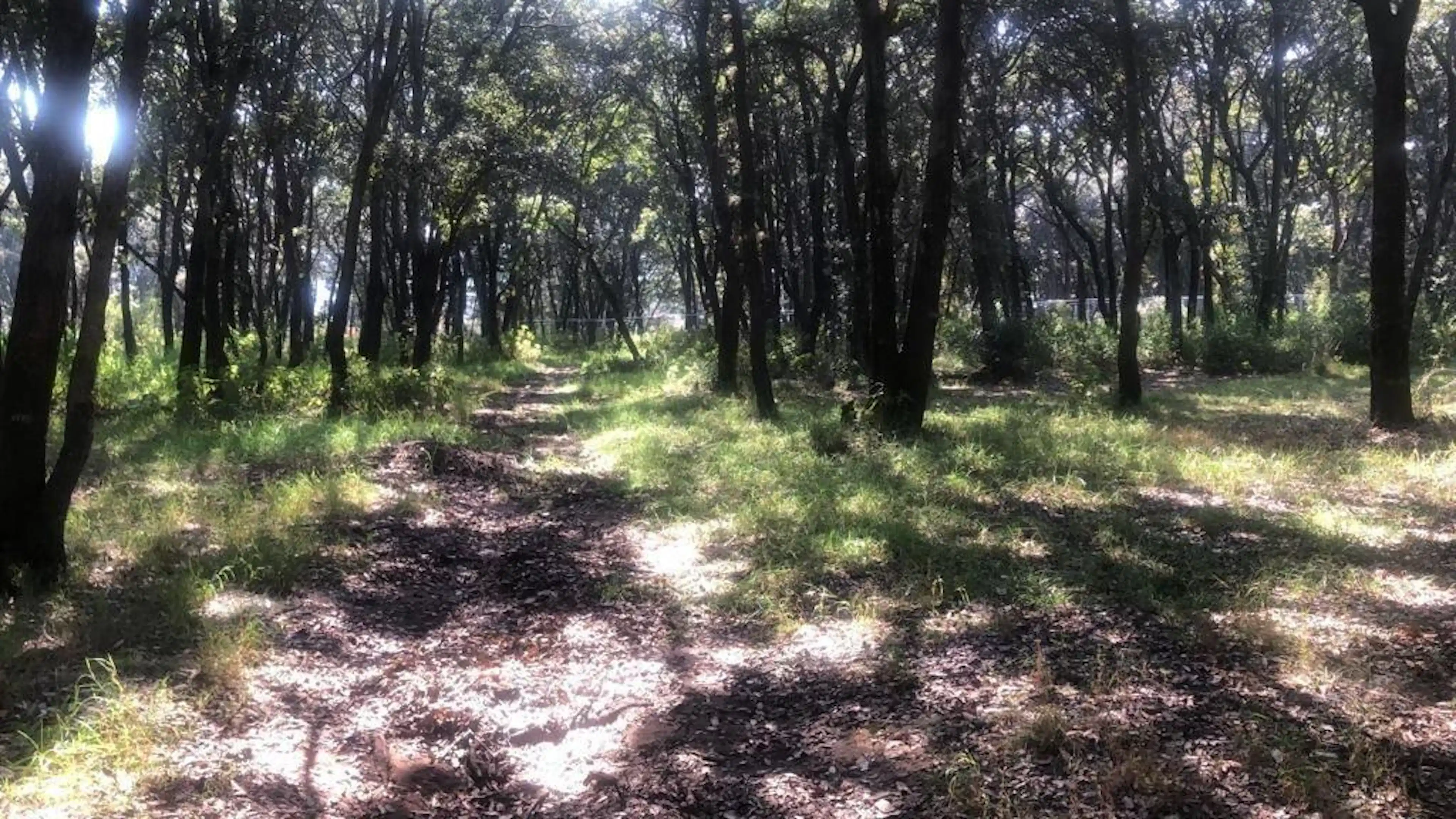 Venta Terrenos En  Jilotzingo