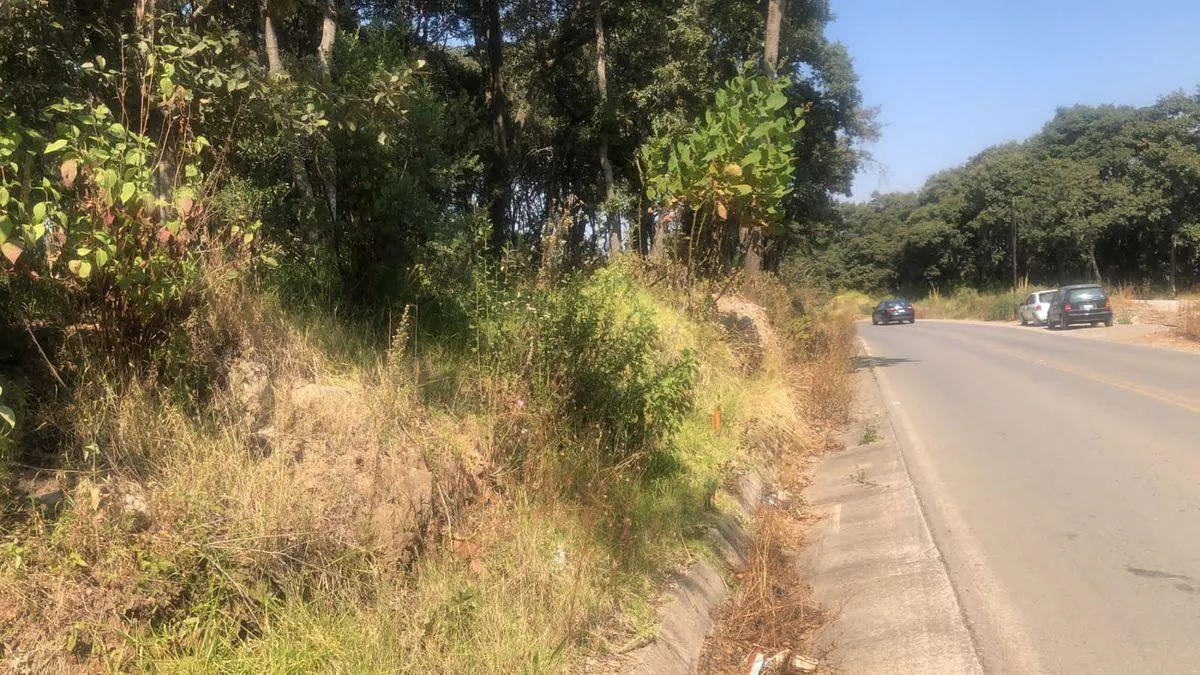 Terreno Spot2