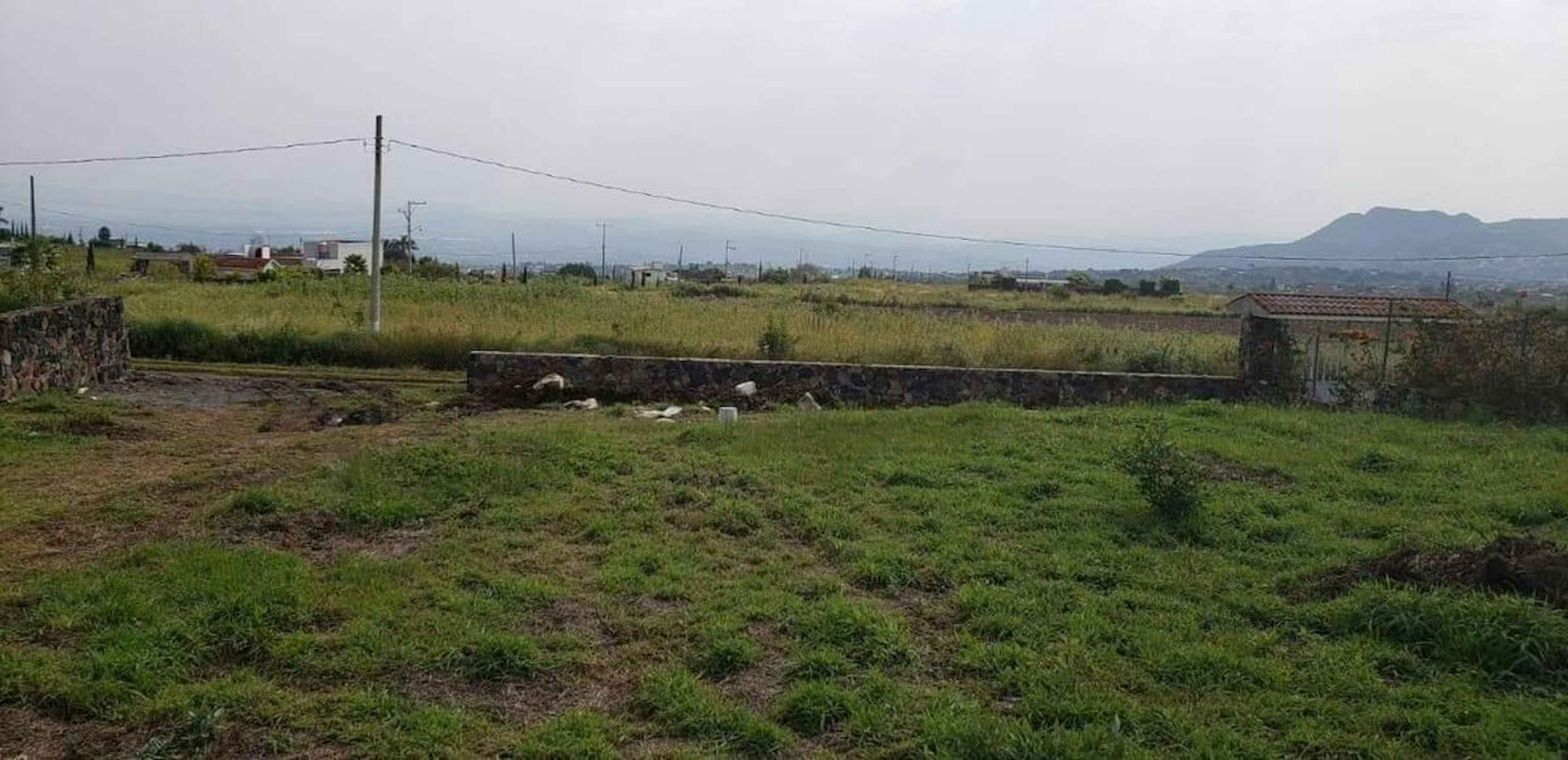 Calle No Reelección