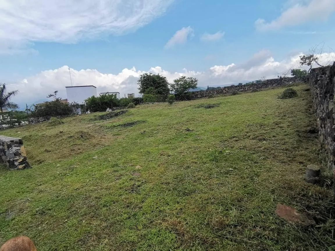 Terreno Spot2