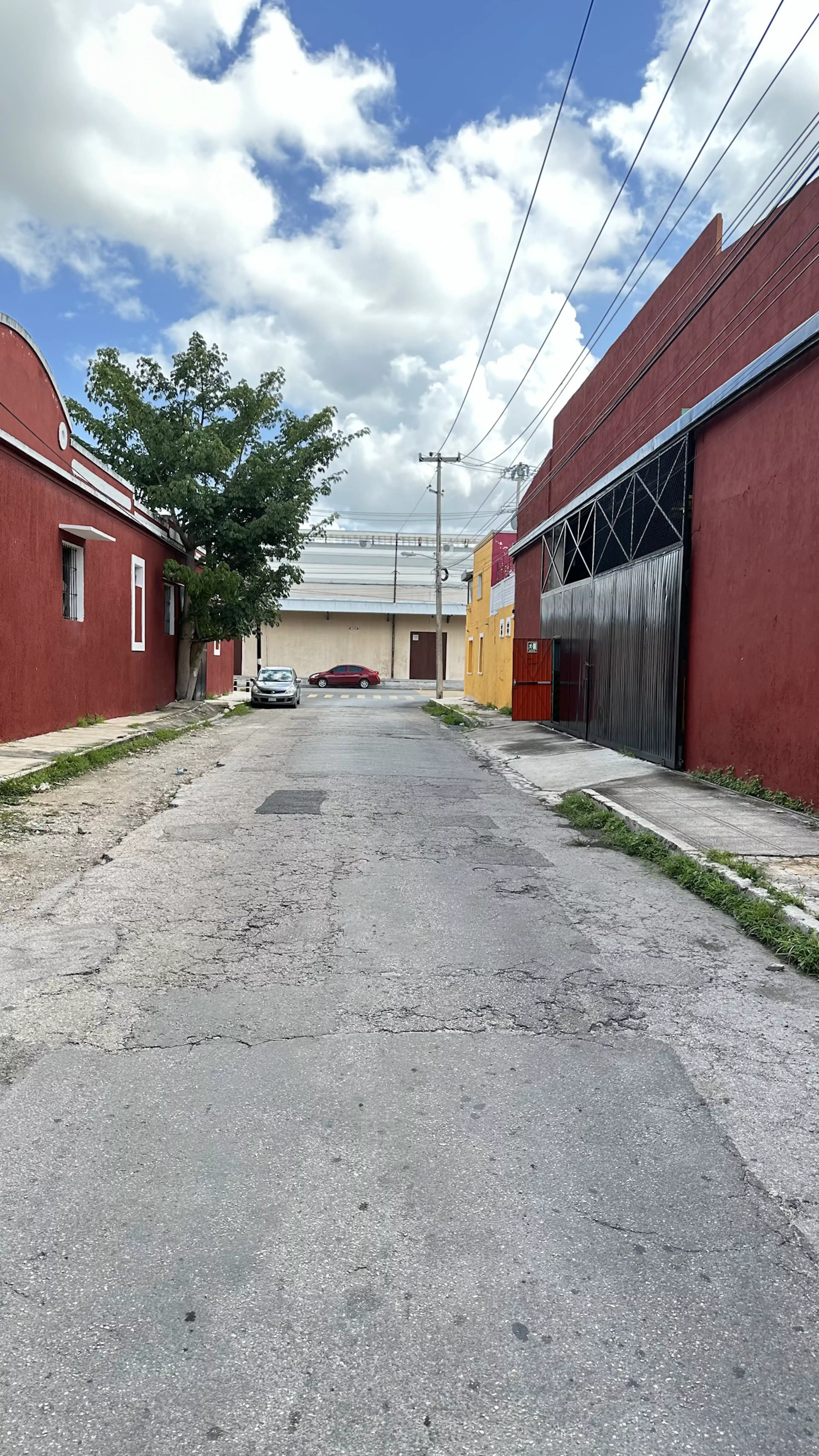 Calle 67