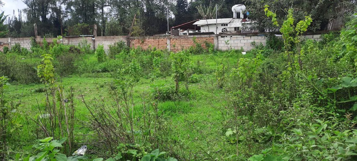 Terreno Spot2