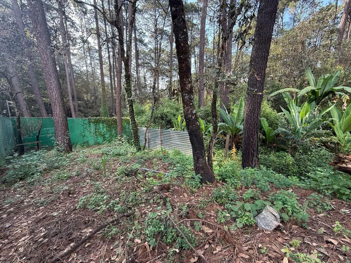 Terreno Spot2