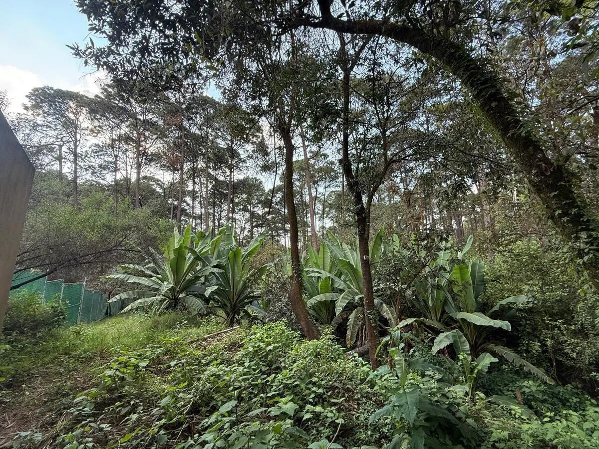 Terreno Spot2