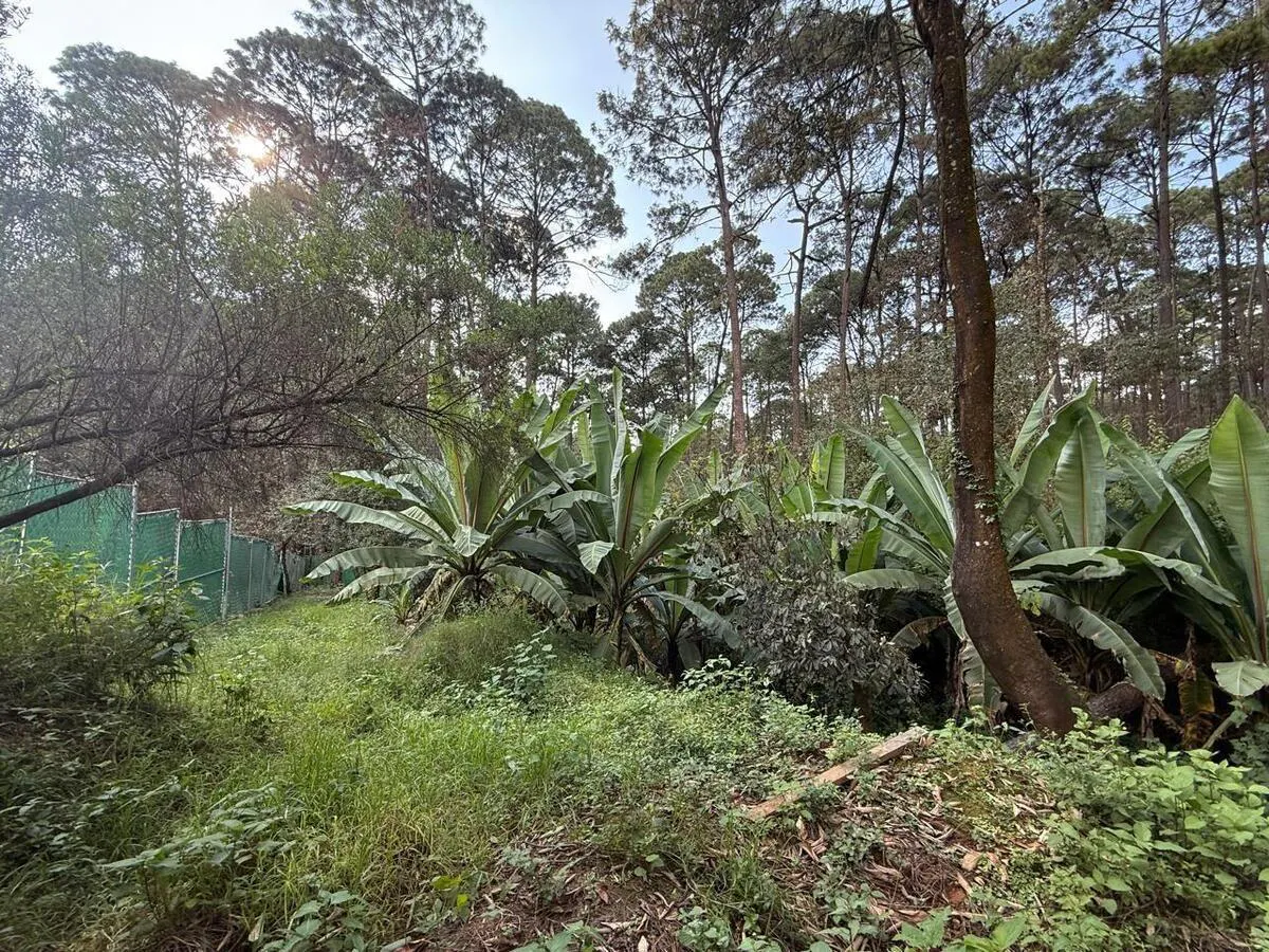 Terreno Spot2