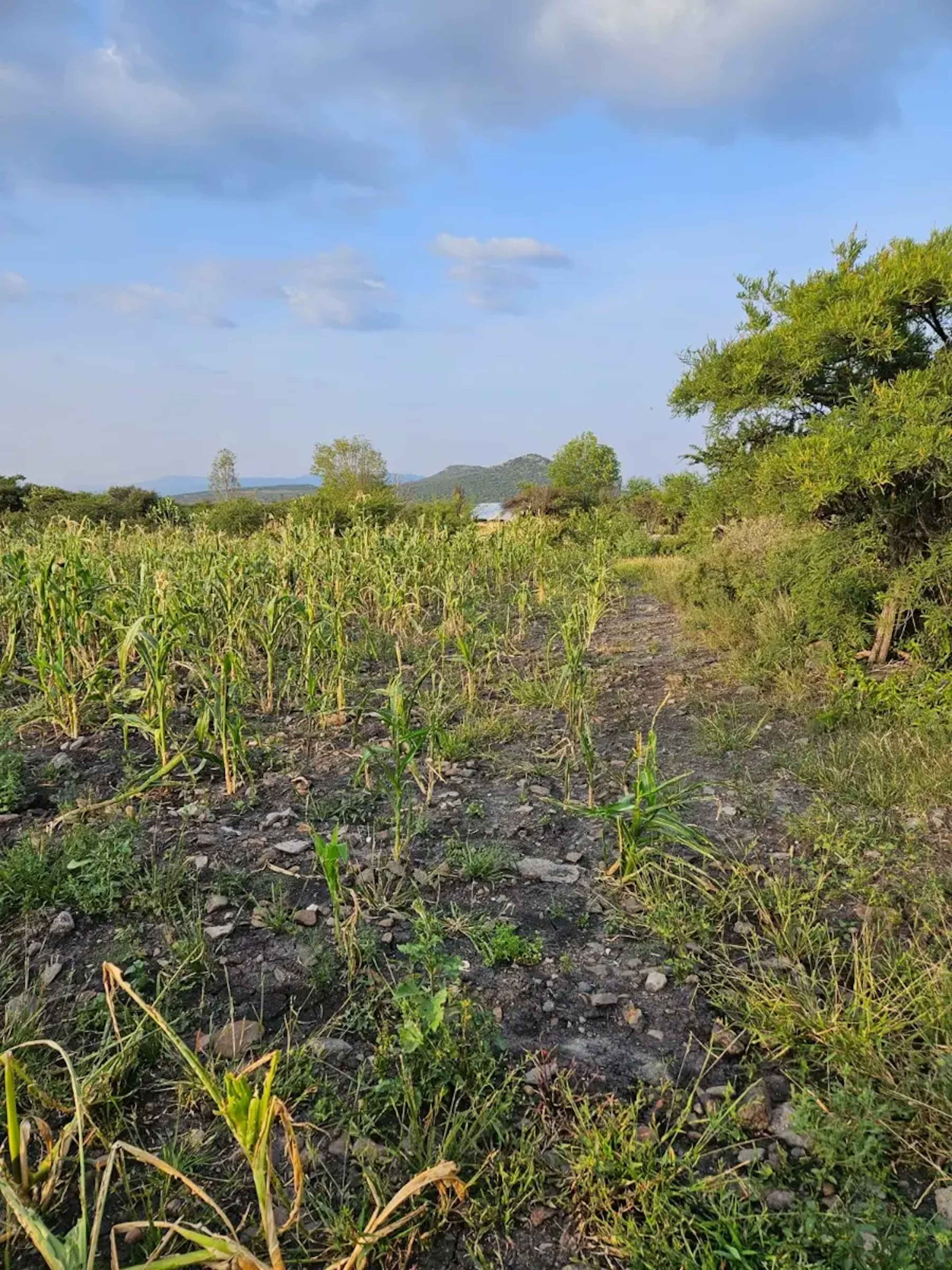 Terreno En Venta En Ojo De Agua, San Juan Del Río, Querétaro