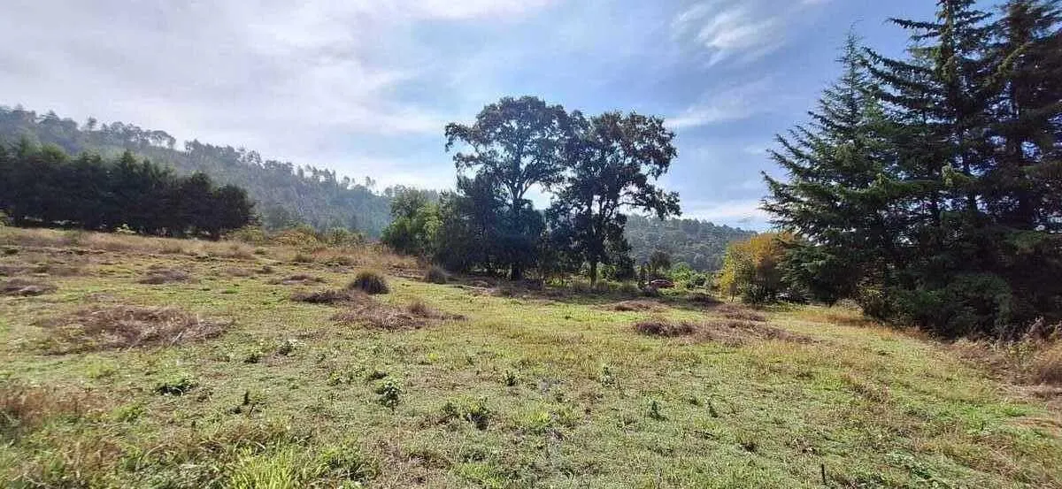 Terreno Spot2
