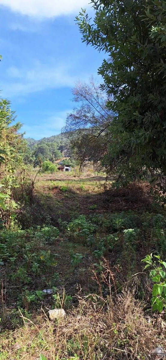 Terreno Spot2