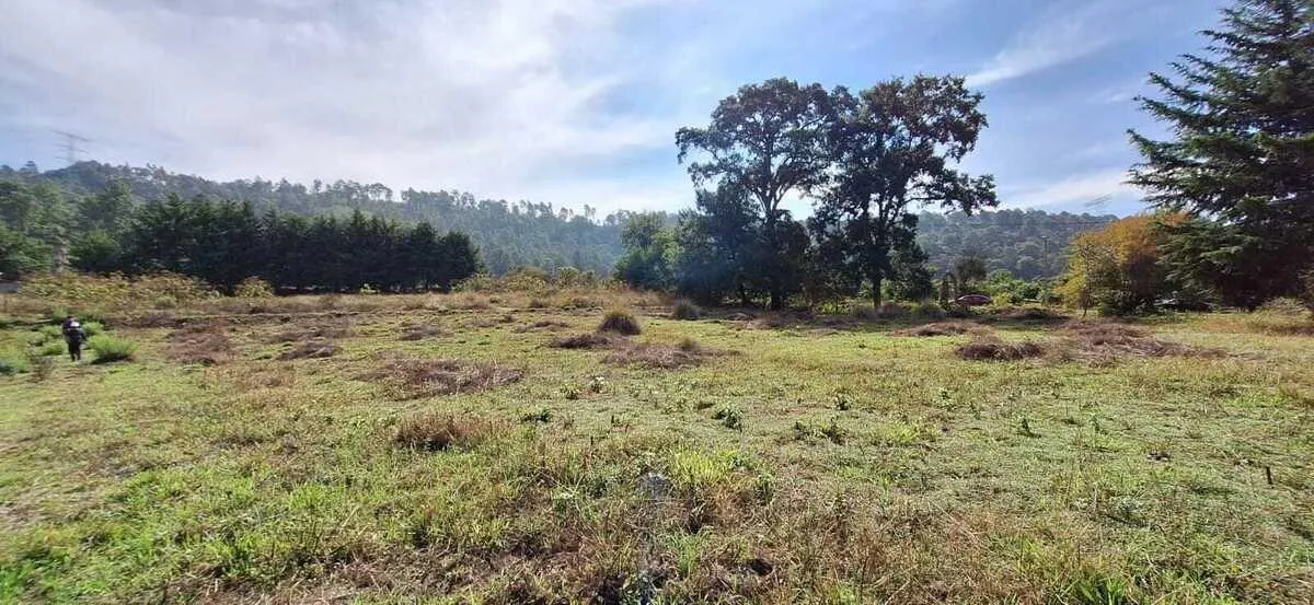 Terreno Spot2