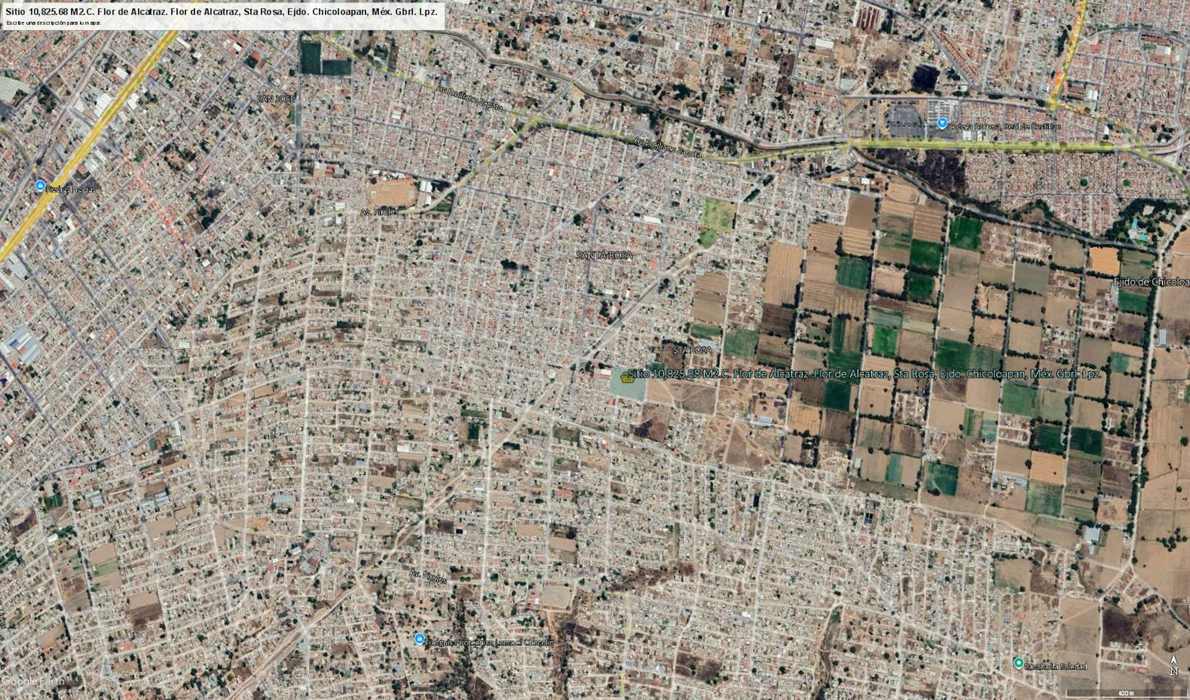 Flor De Alcatraz 142