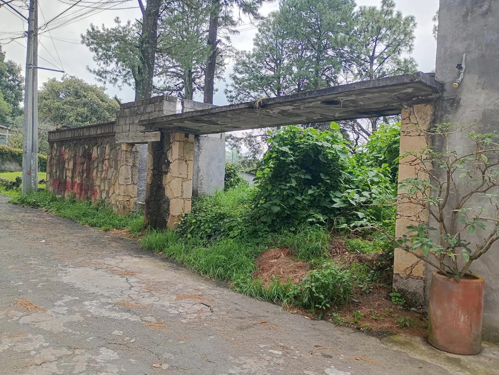 Terreno Spot2