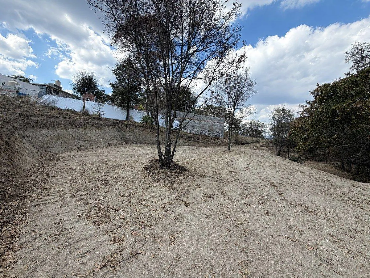 Terreno Spot2