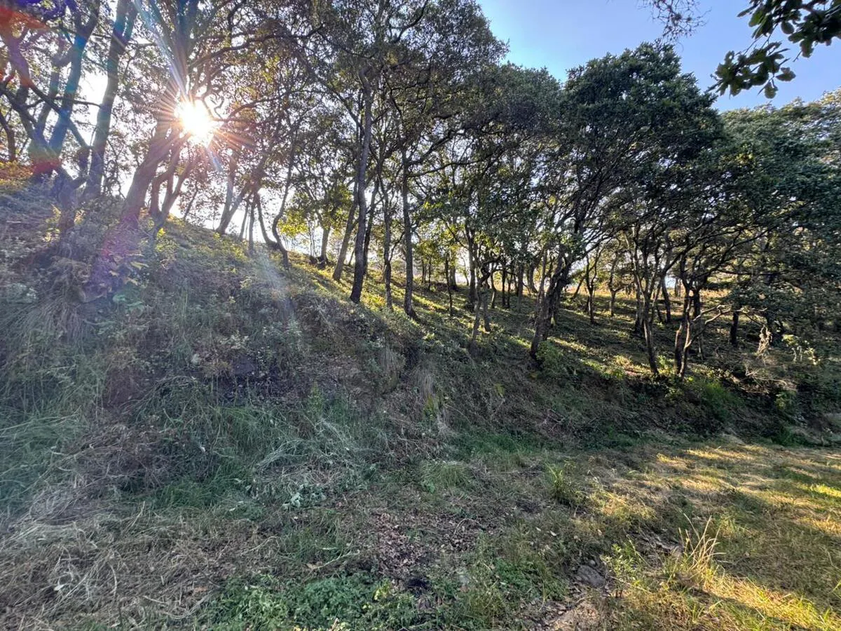 Terreno Spot2