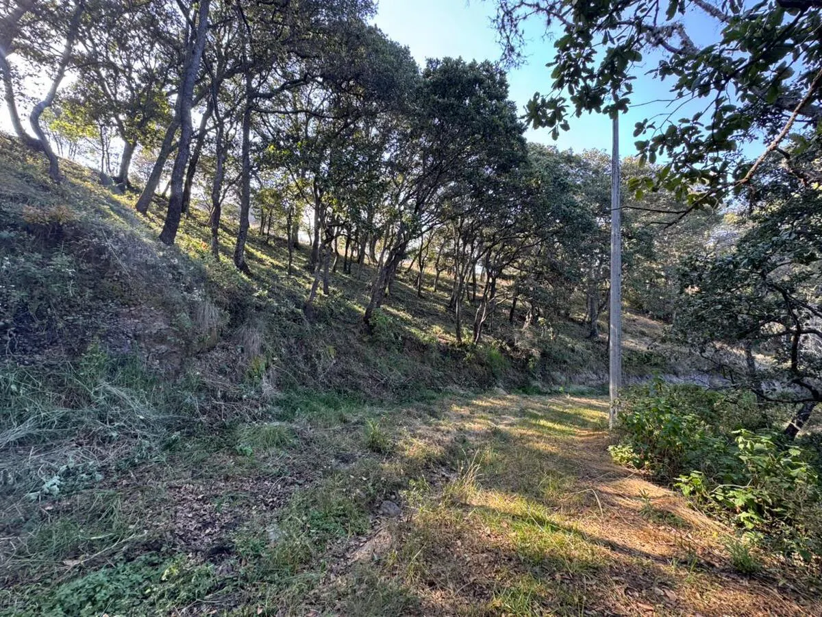 Terreno Spot2