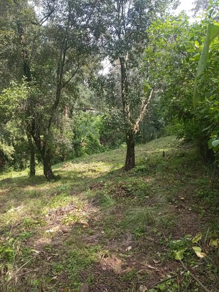 Terreno Spot2
