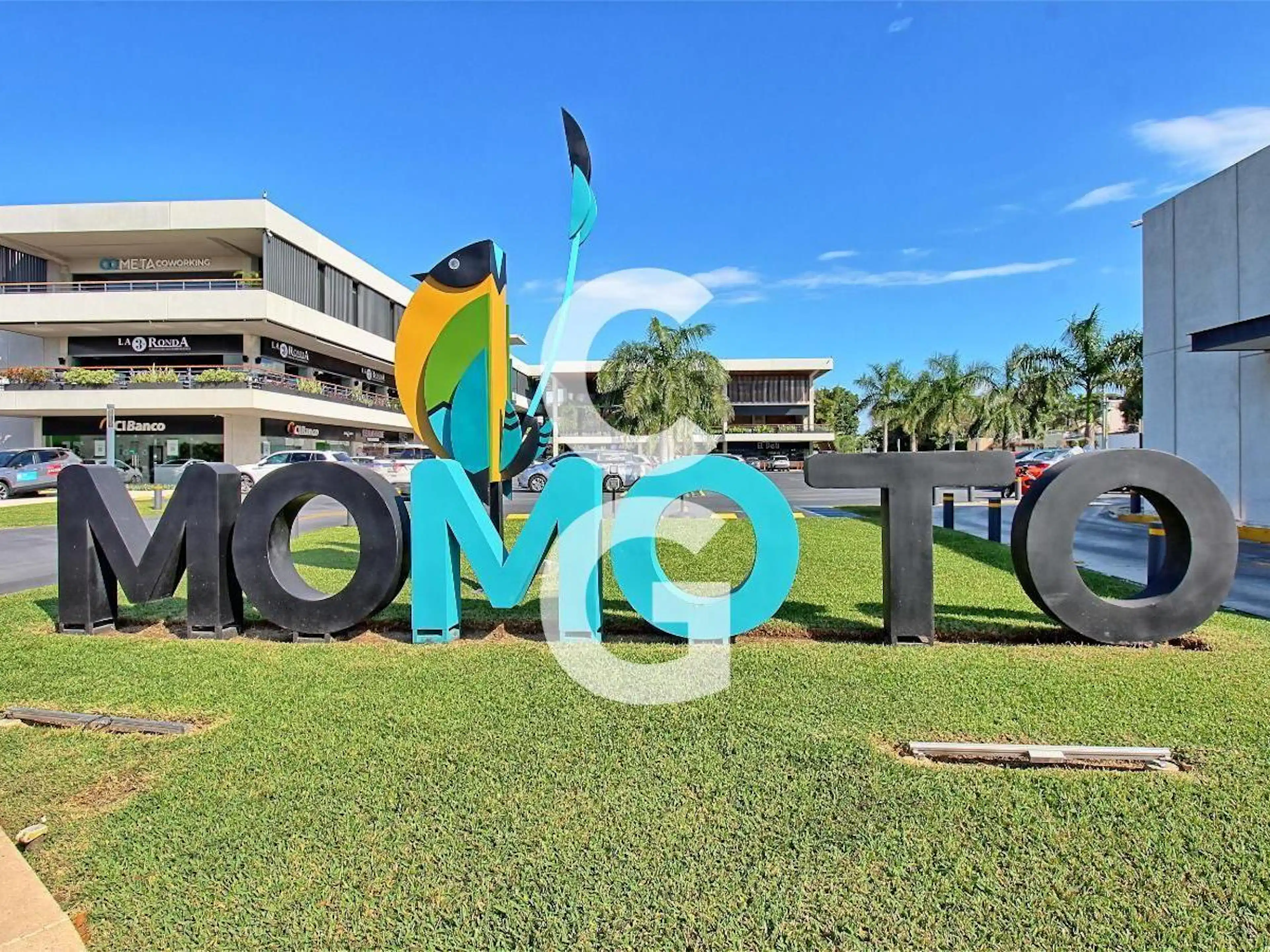 Plaza Momoto