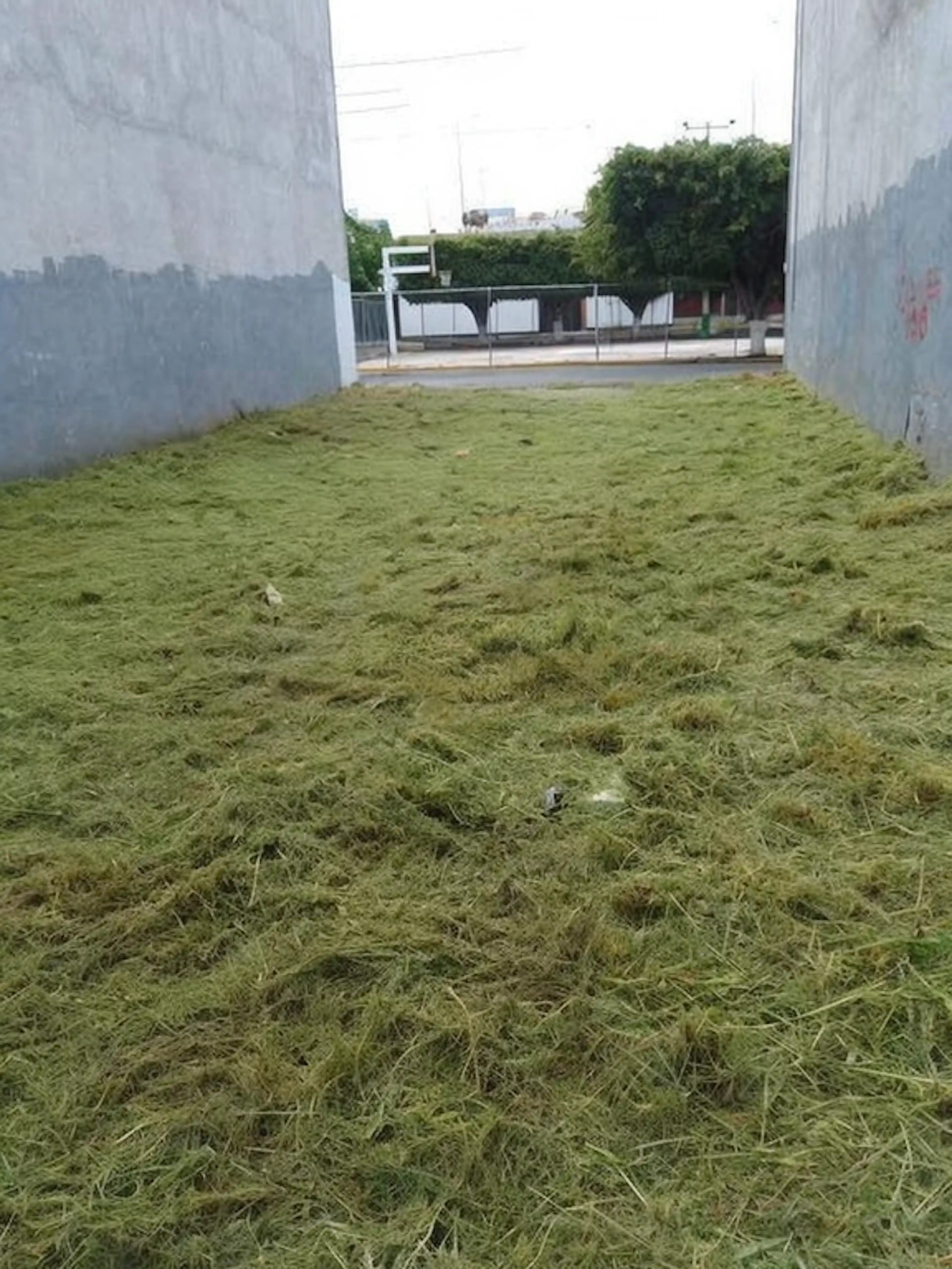 Terreno En Venta Jardines 2da Seccion Celaya