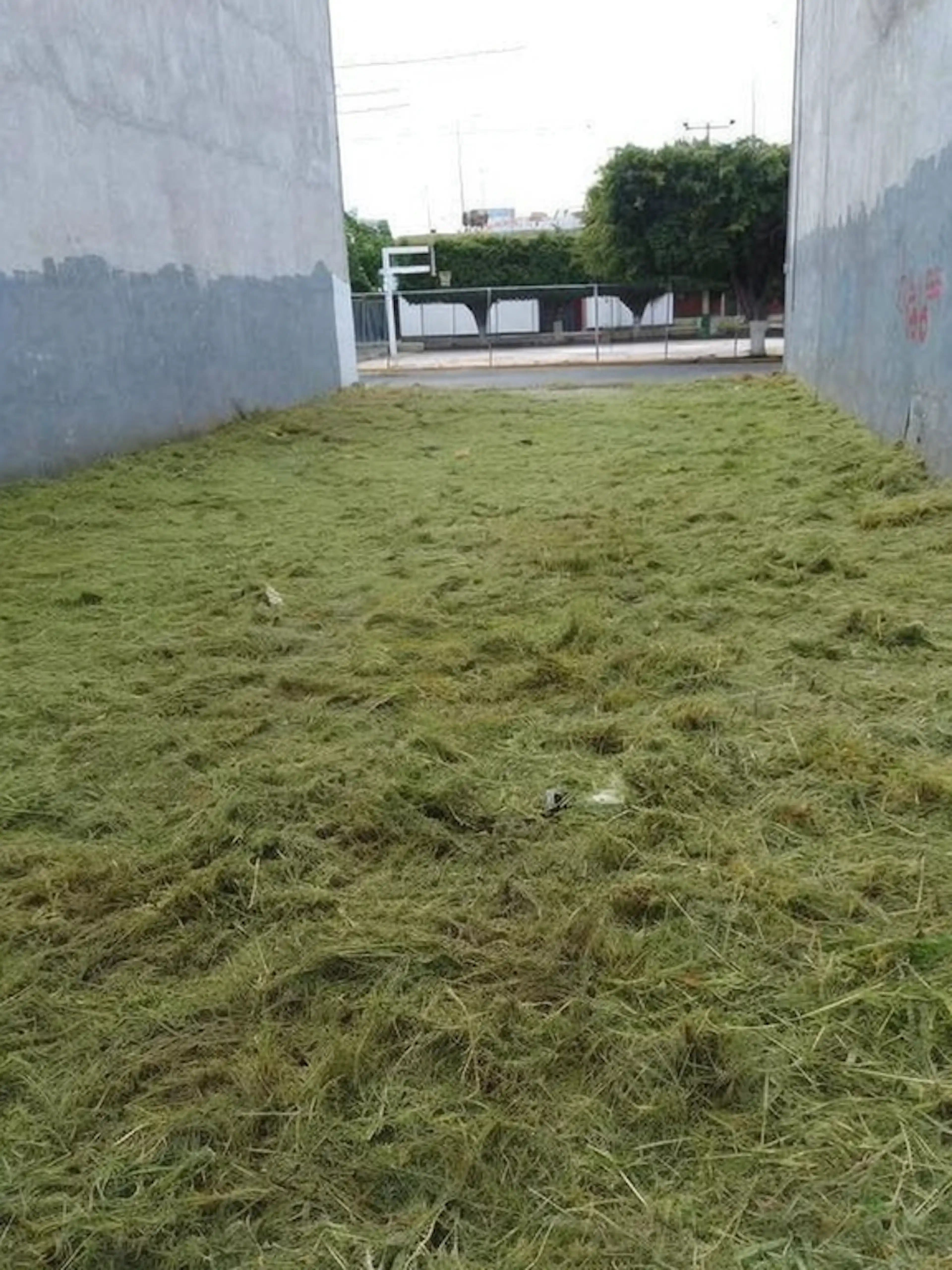 Terreno En Venta Jardines 2da Seccion Celaya
