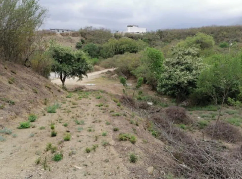 Terreno Spot2
