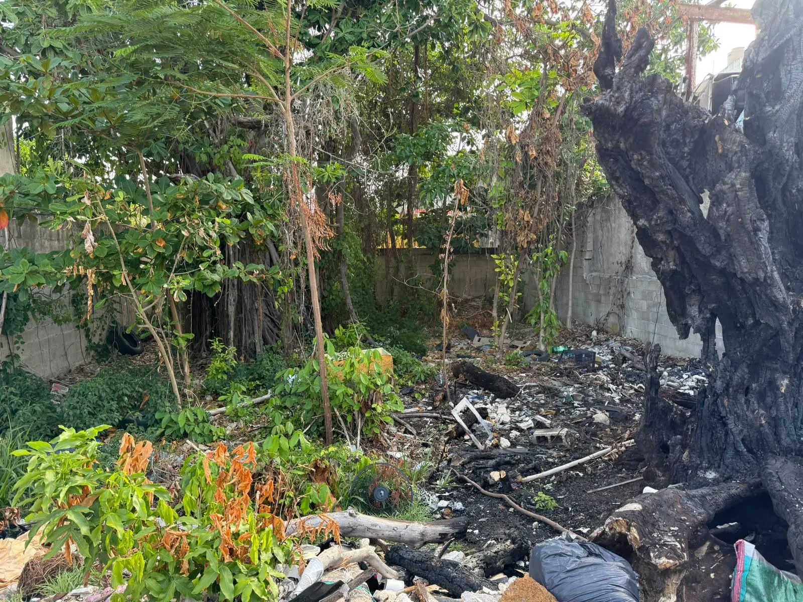 Terreno Spot2