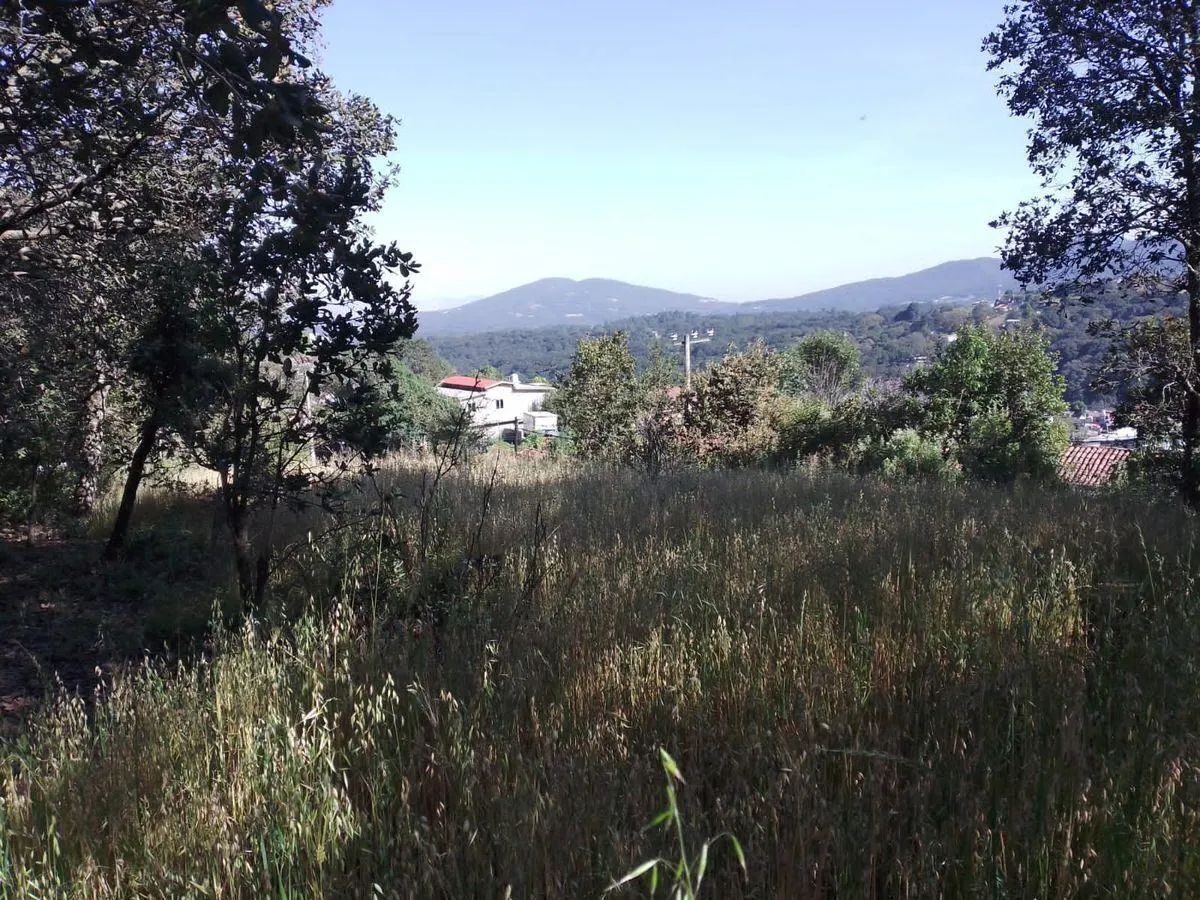 Terreno Spot2