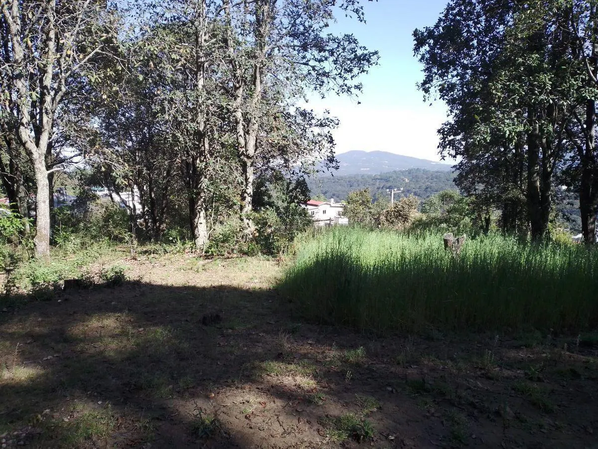Terreno Spot2